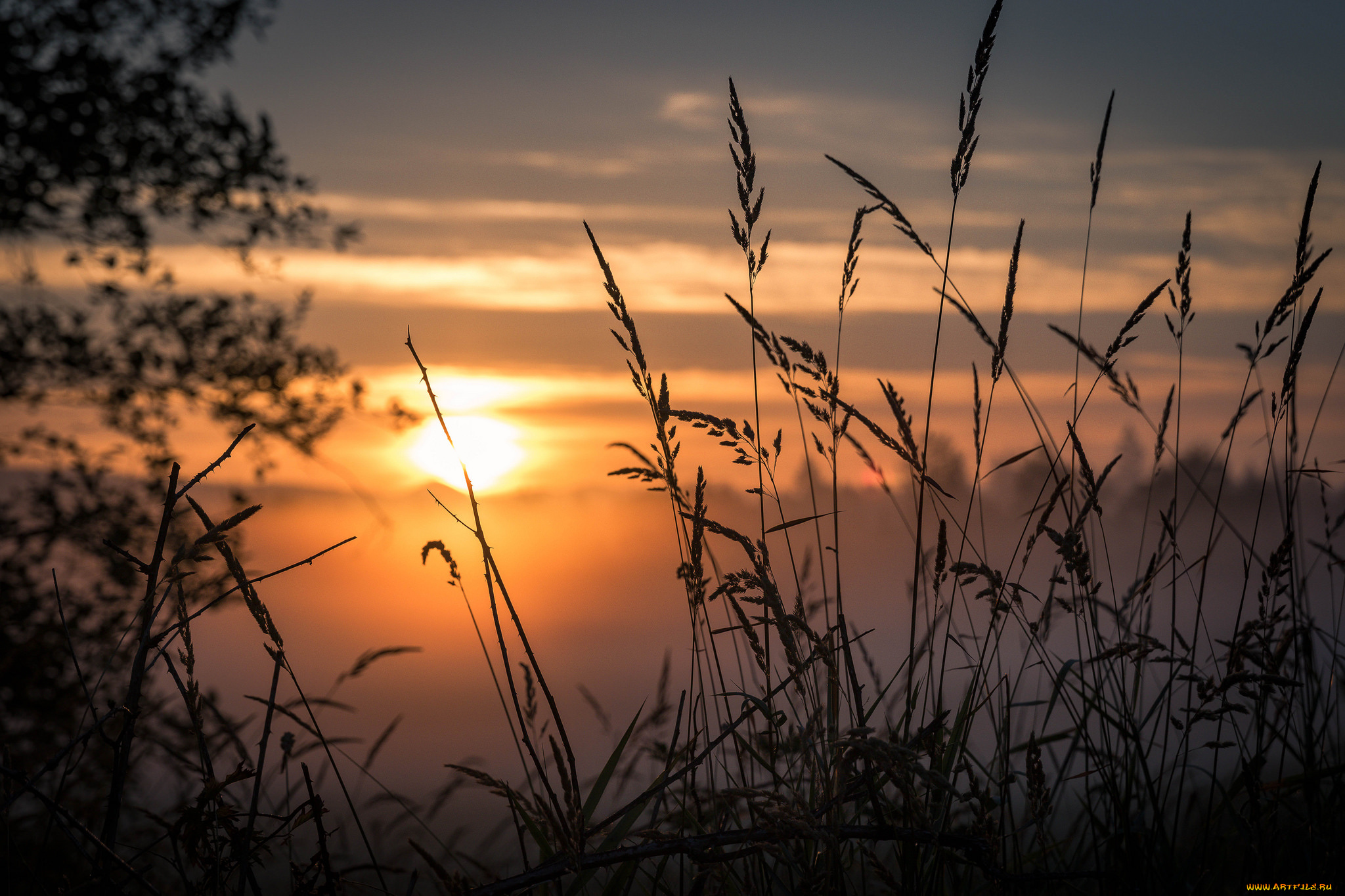 природа, восходы, закаты, простор