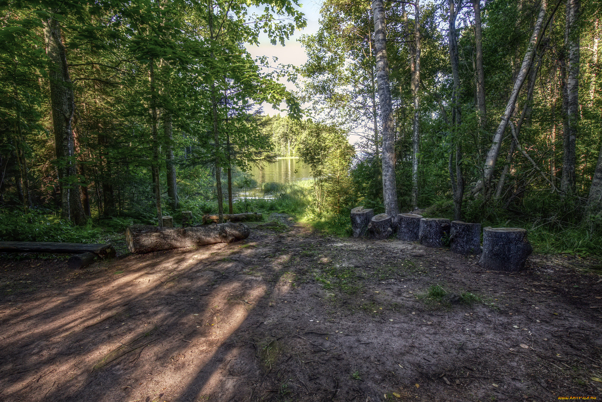 природа, дороги, простор