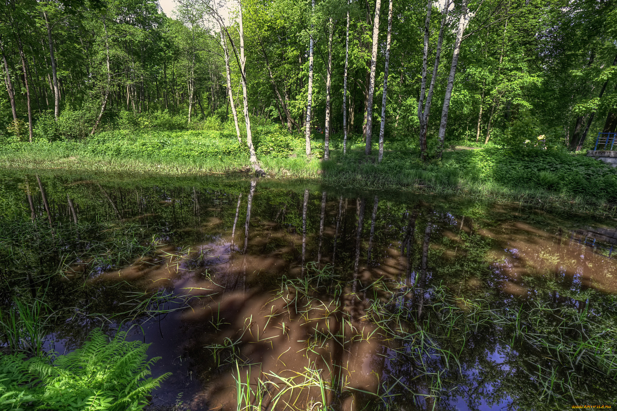 природа, реки, озера, простор