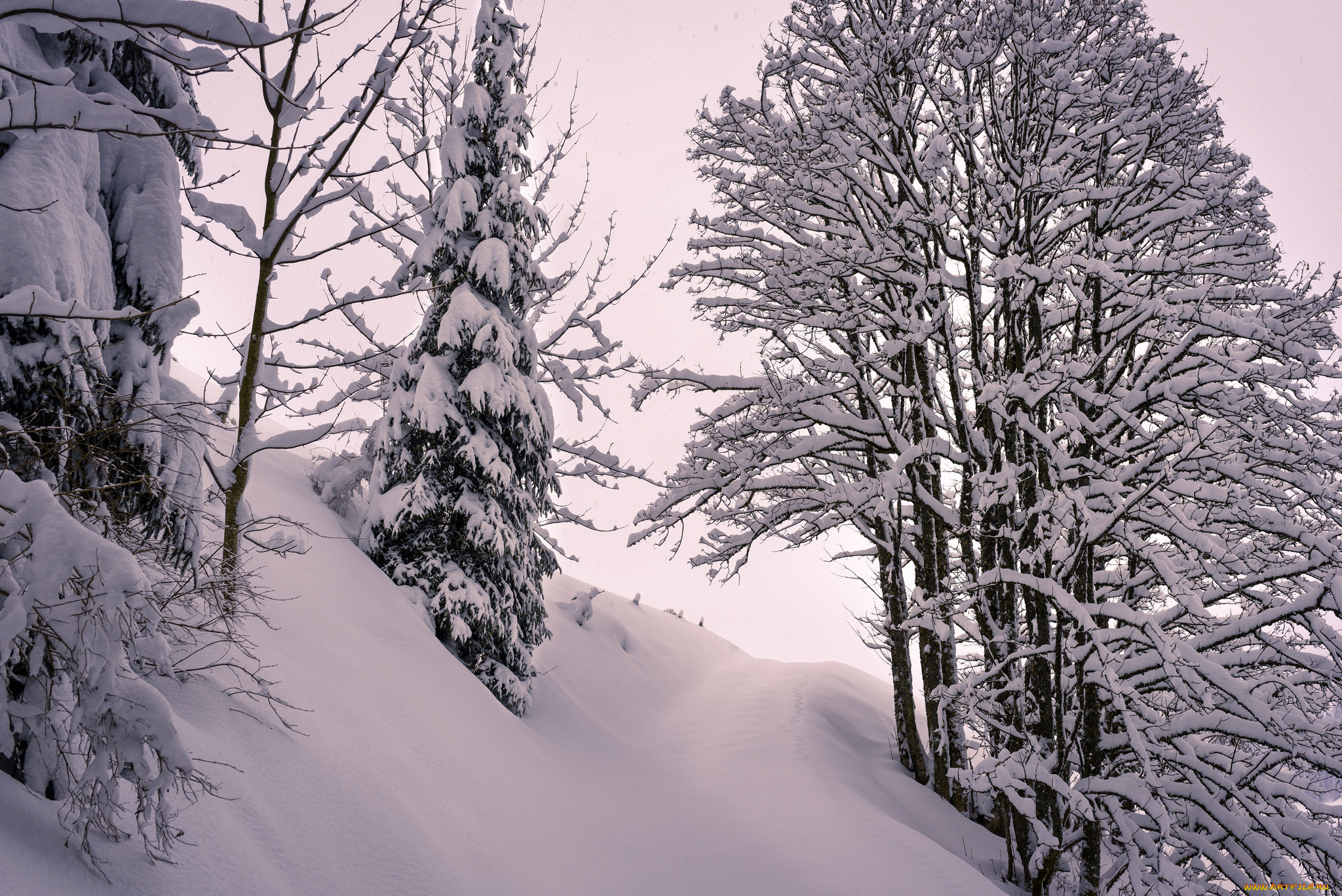 природа, зима, простор