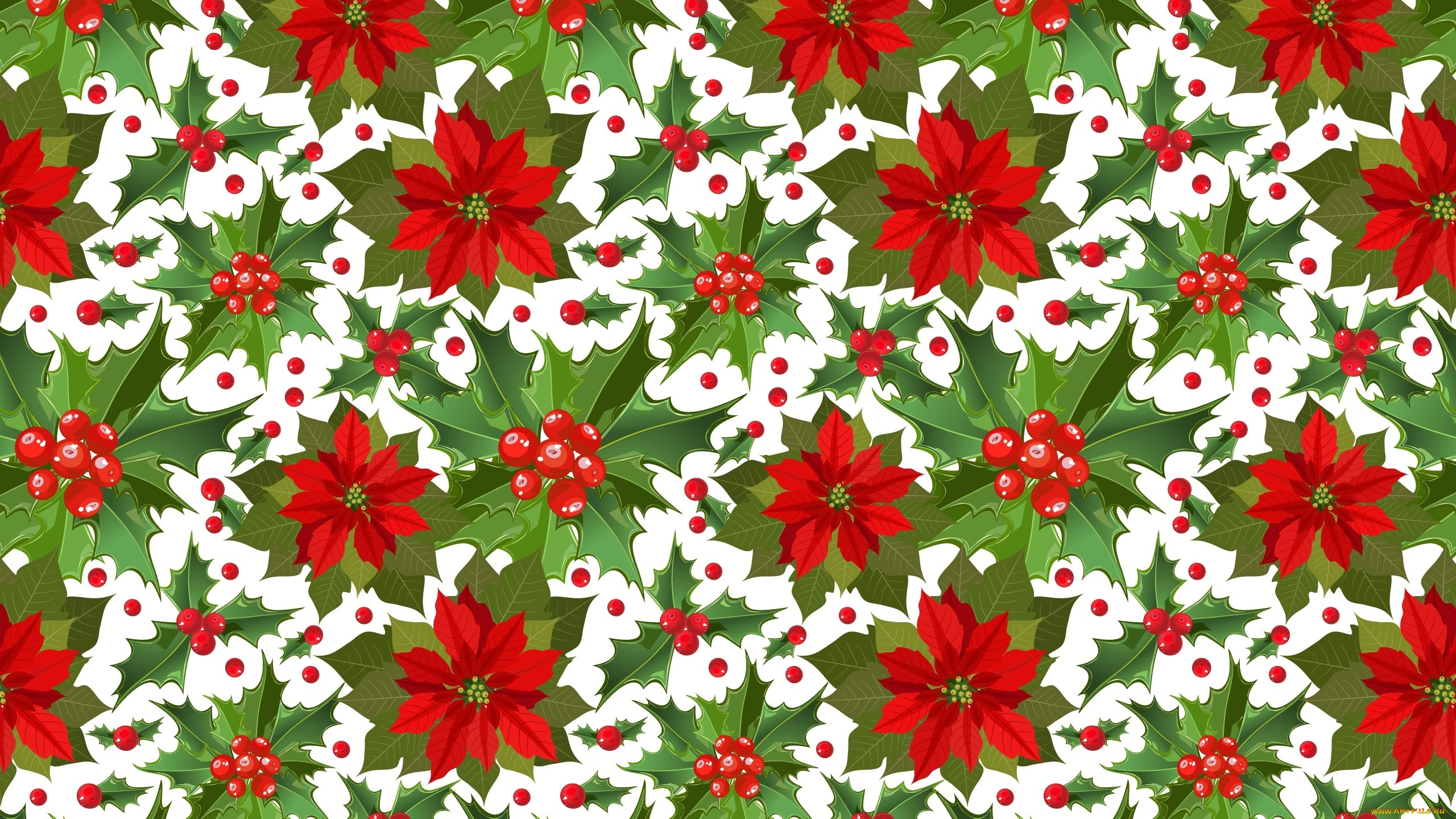 векторная, графика, цветы, , flowers, фон, цветы