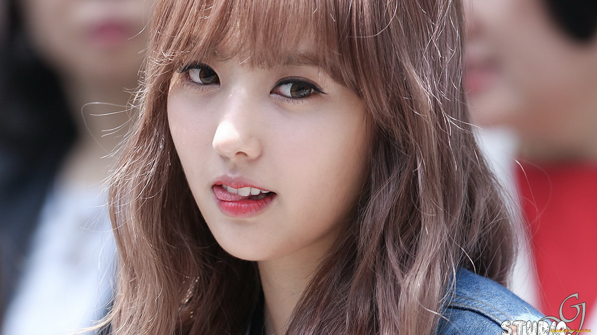 hello-venus, музыка, hello, venus, певица