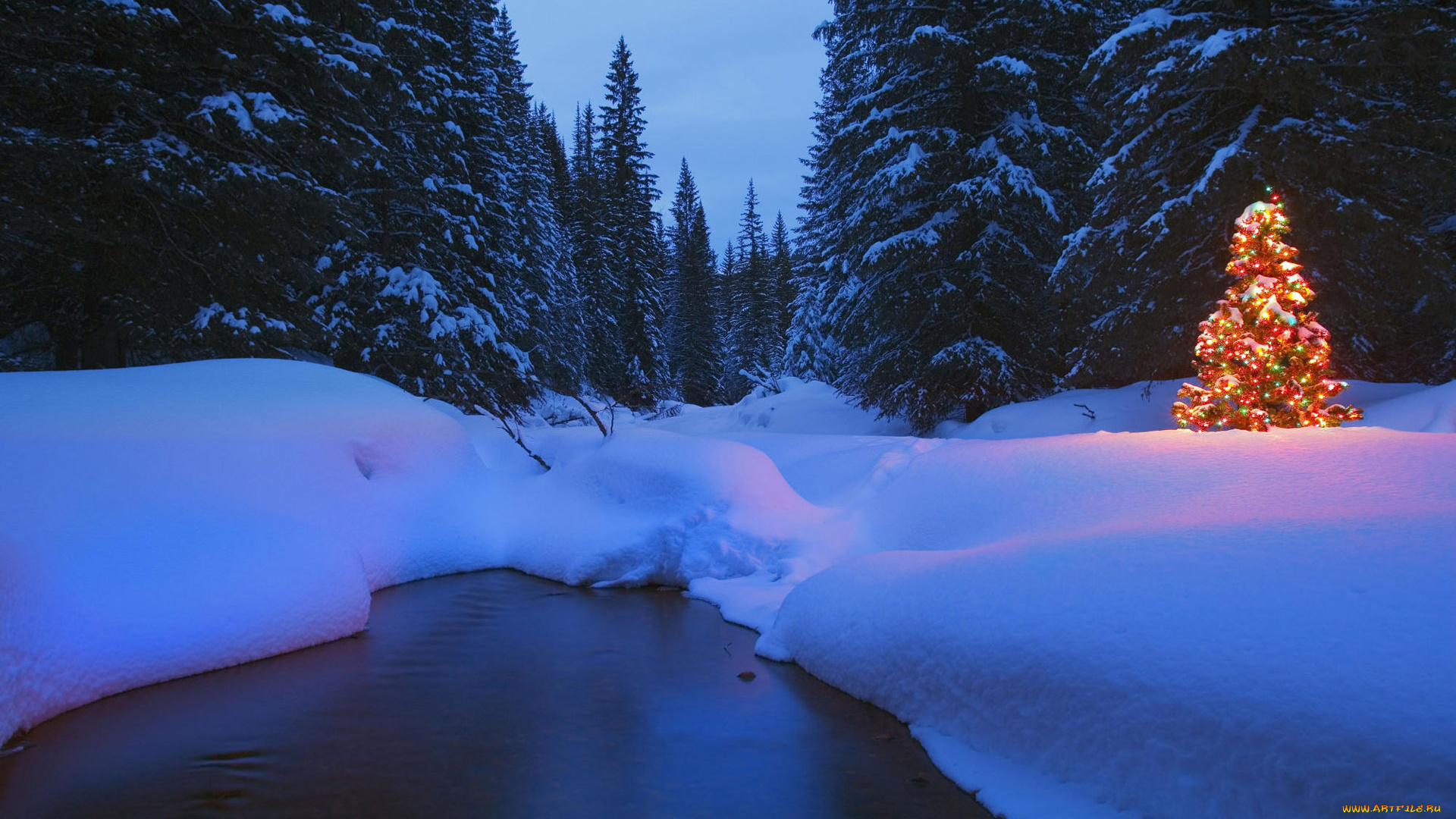 праздничные, Ёлки, лес, огни, ёлка, река, снег