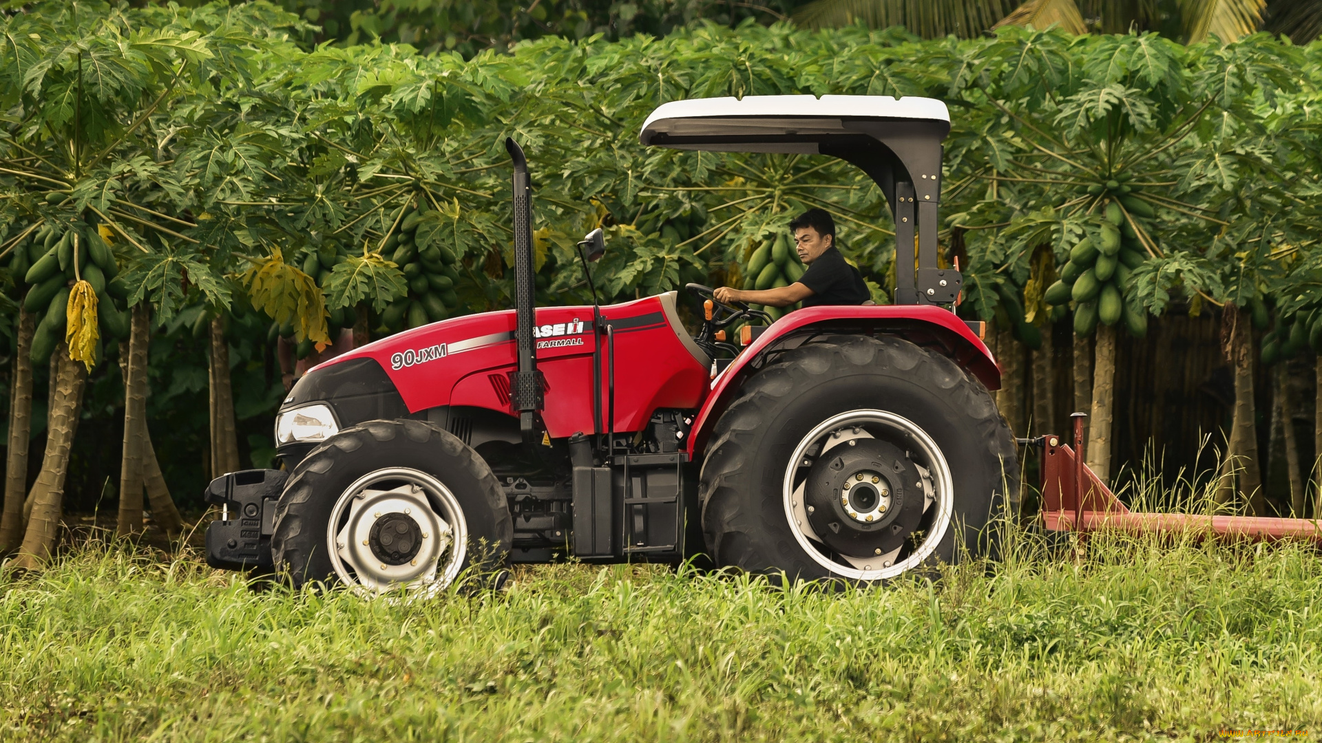 техника, тракторы, case