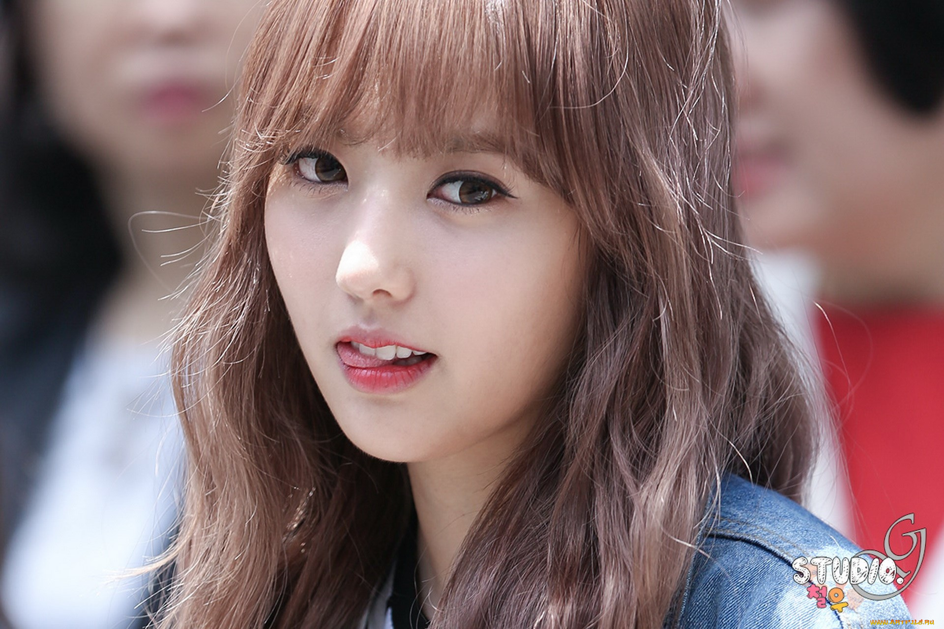 hello-venus, музыка, hello, venus, певица