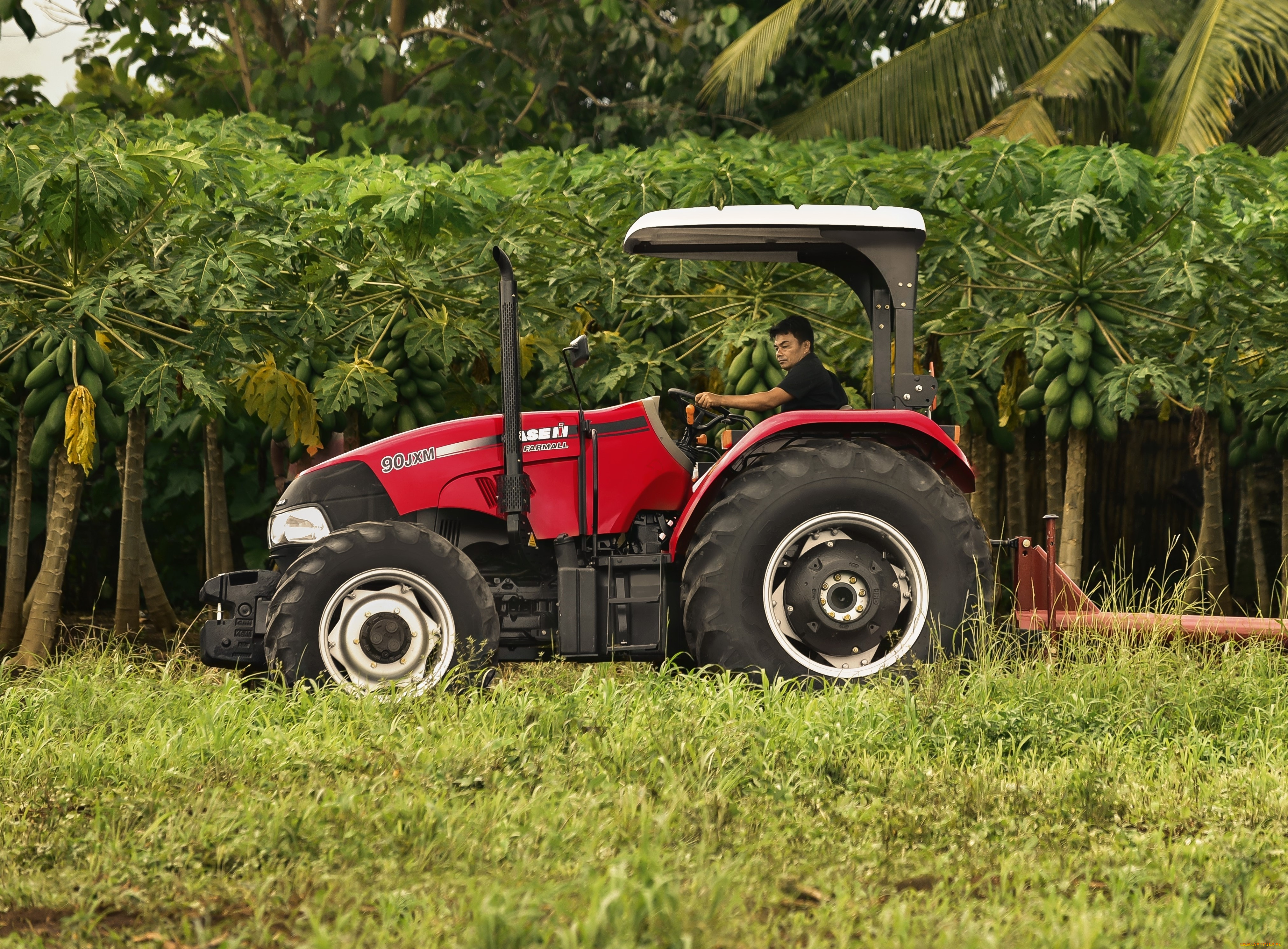 техника, тракторы, case