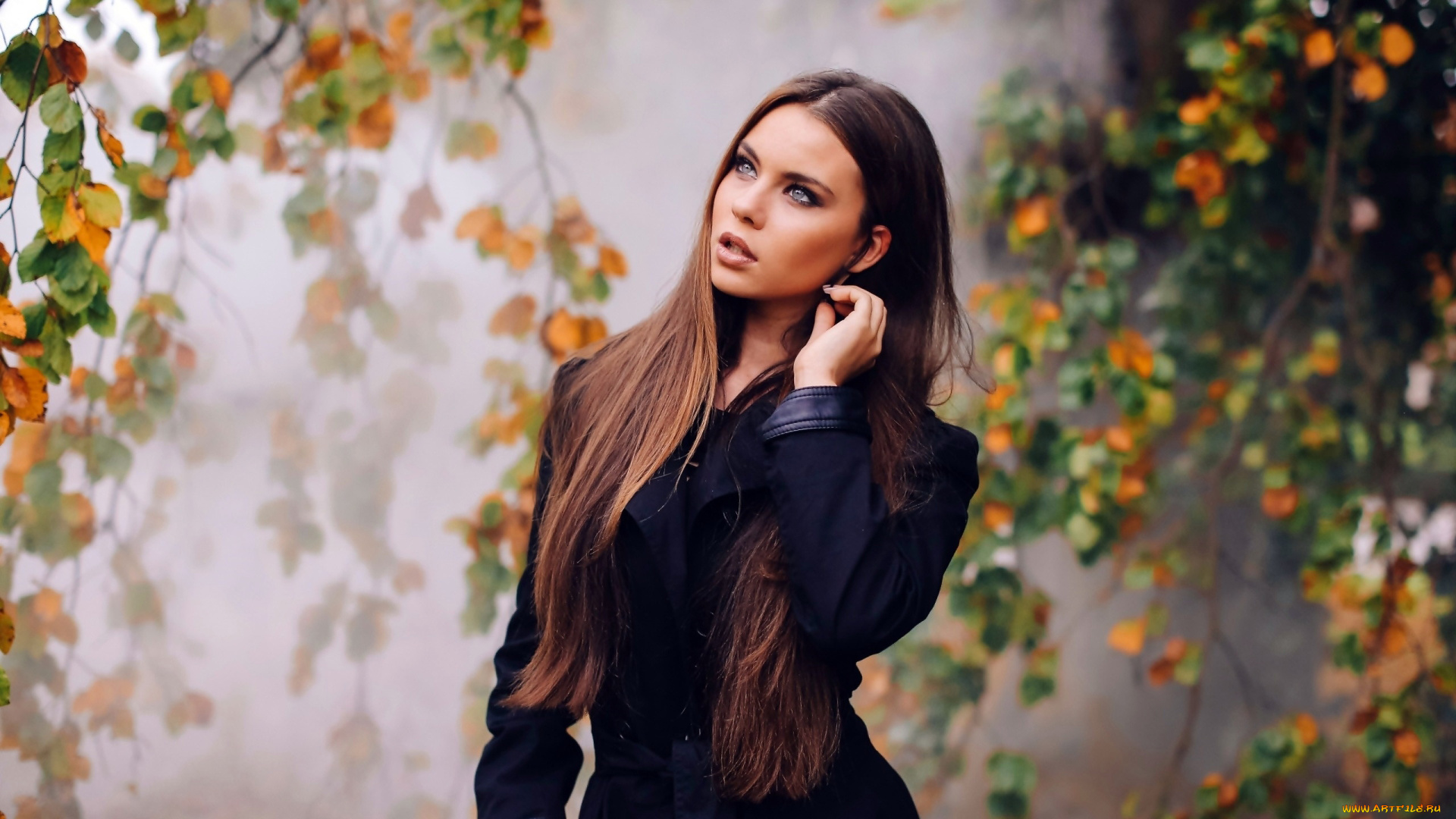 девушки, -, брюнетки, , шатенки, осень, плющ