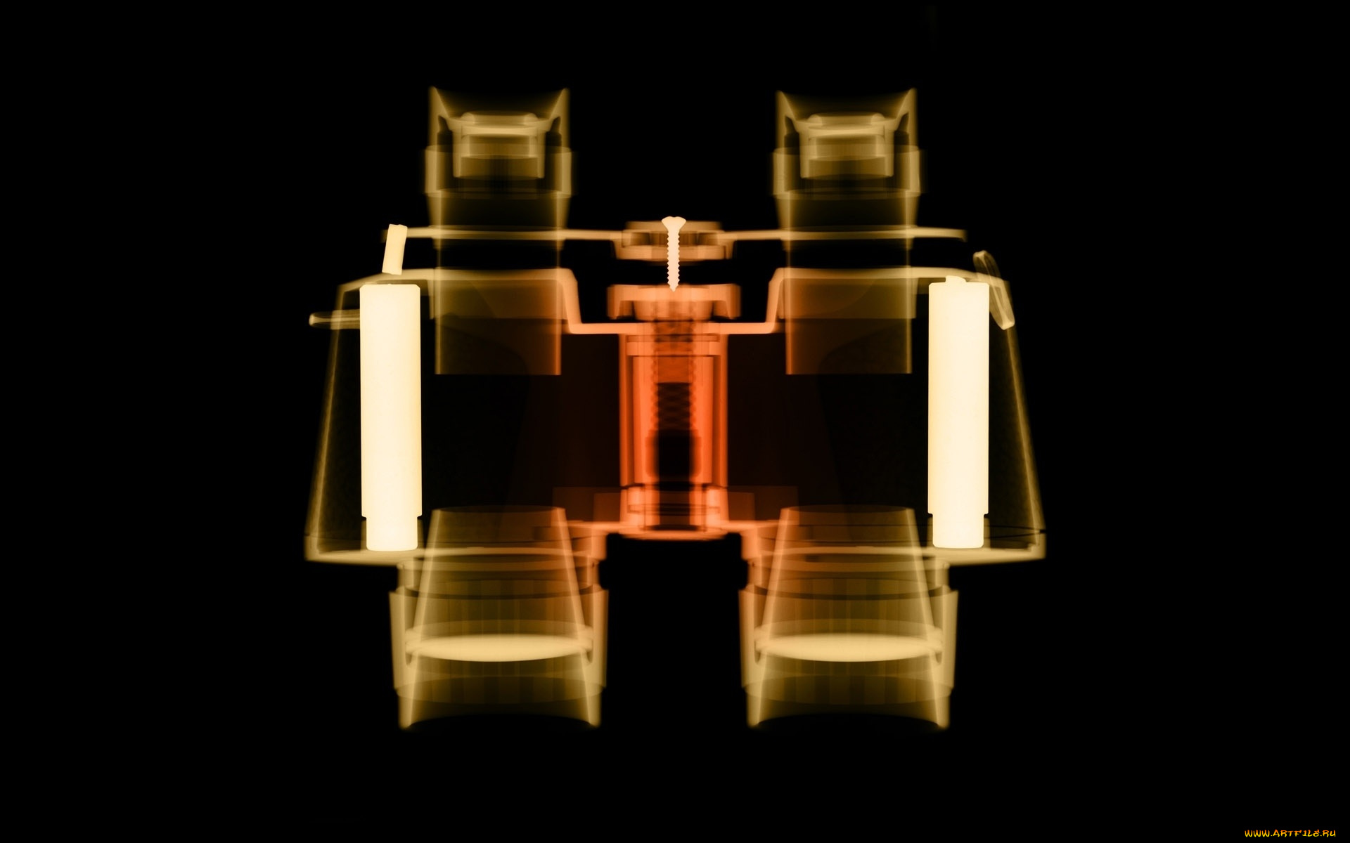 разное, кости, , рентген, бинокль