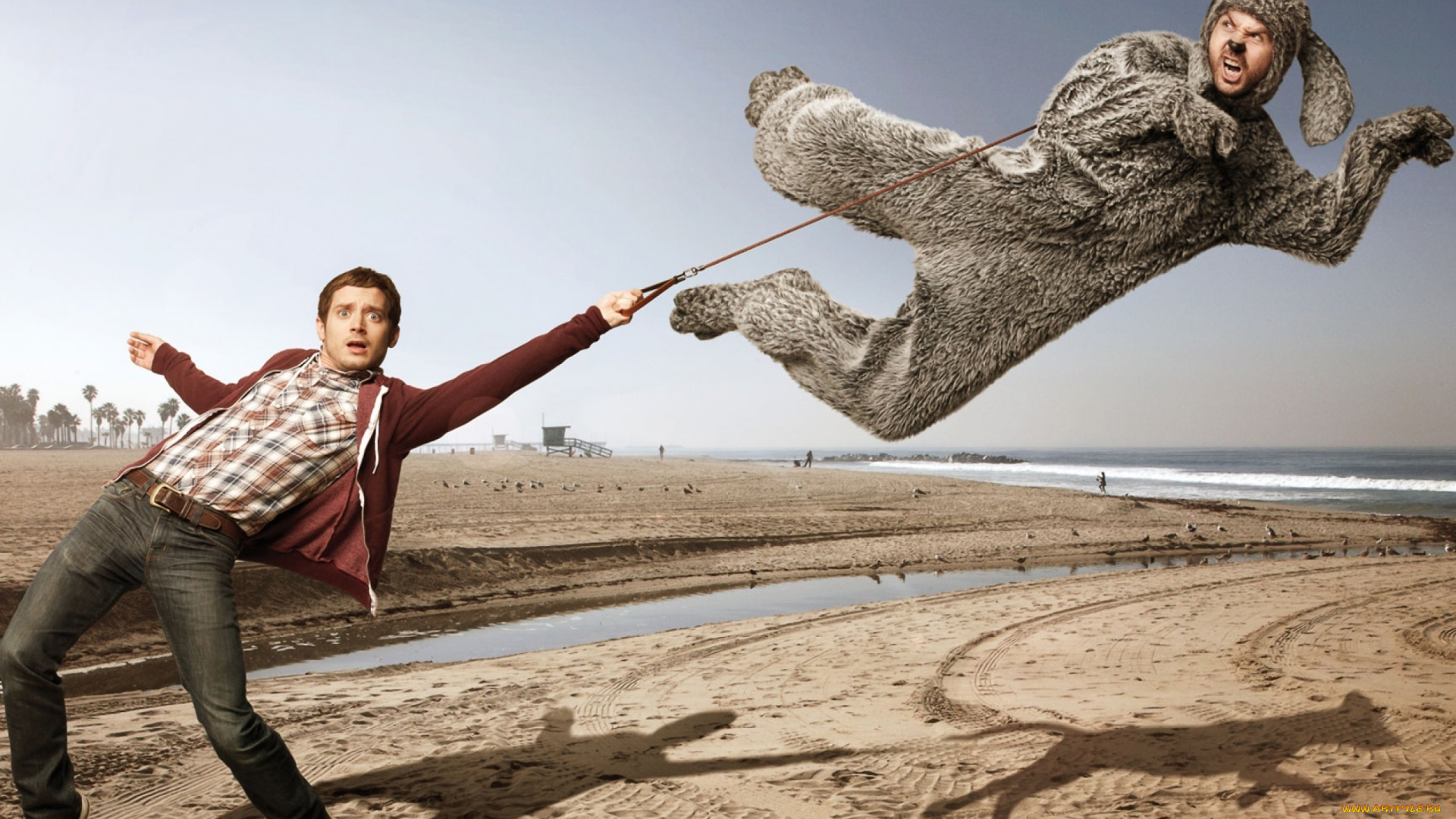 кино, фильмы, wilfred, , сериал, человек, собака, костюм