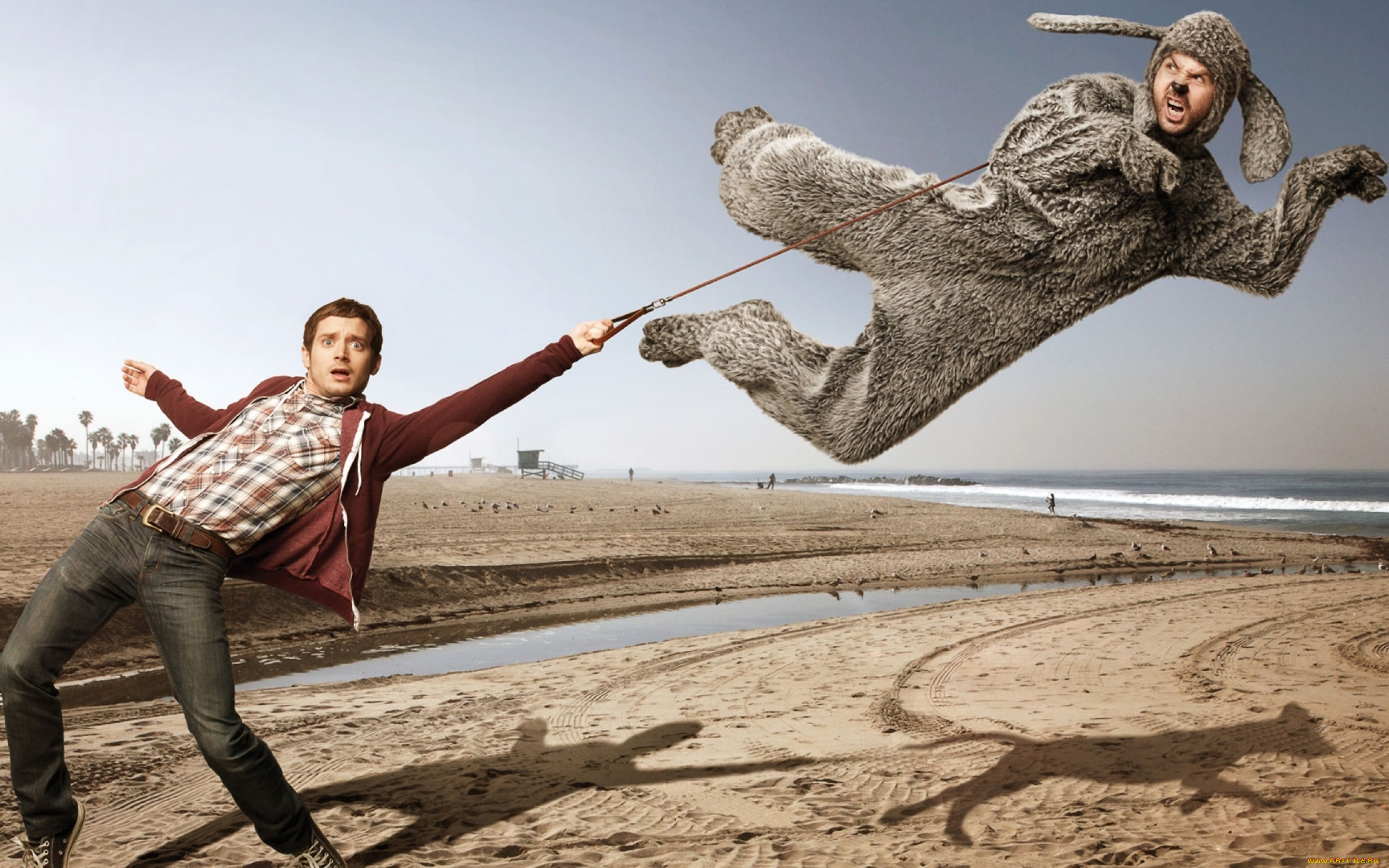 кино, фильмы, wilfred, , сериал, человек, собака, костюм