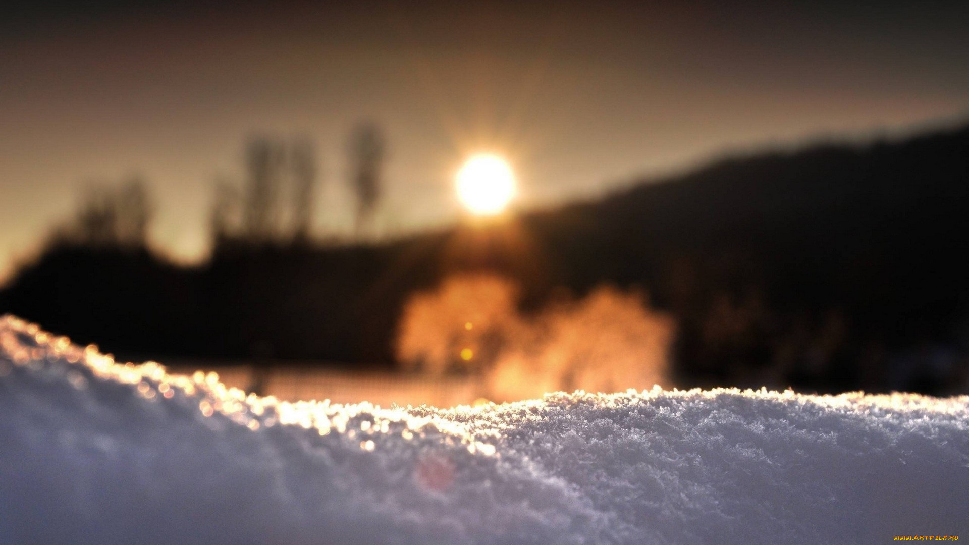 природа, макро, снег, солнце