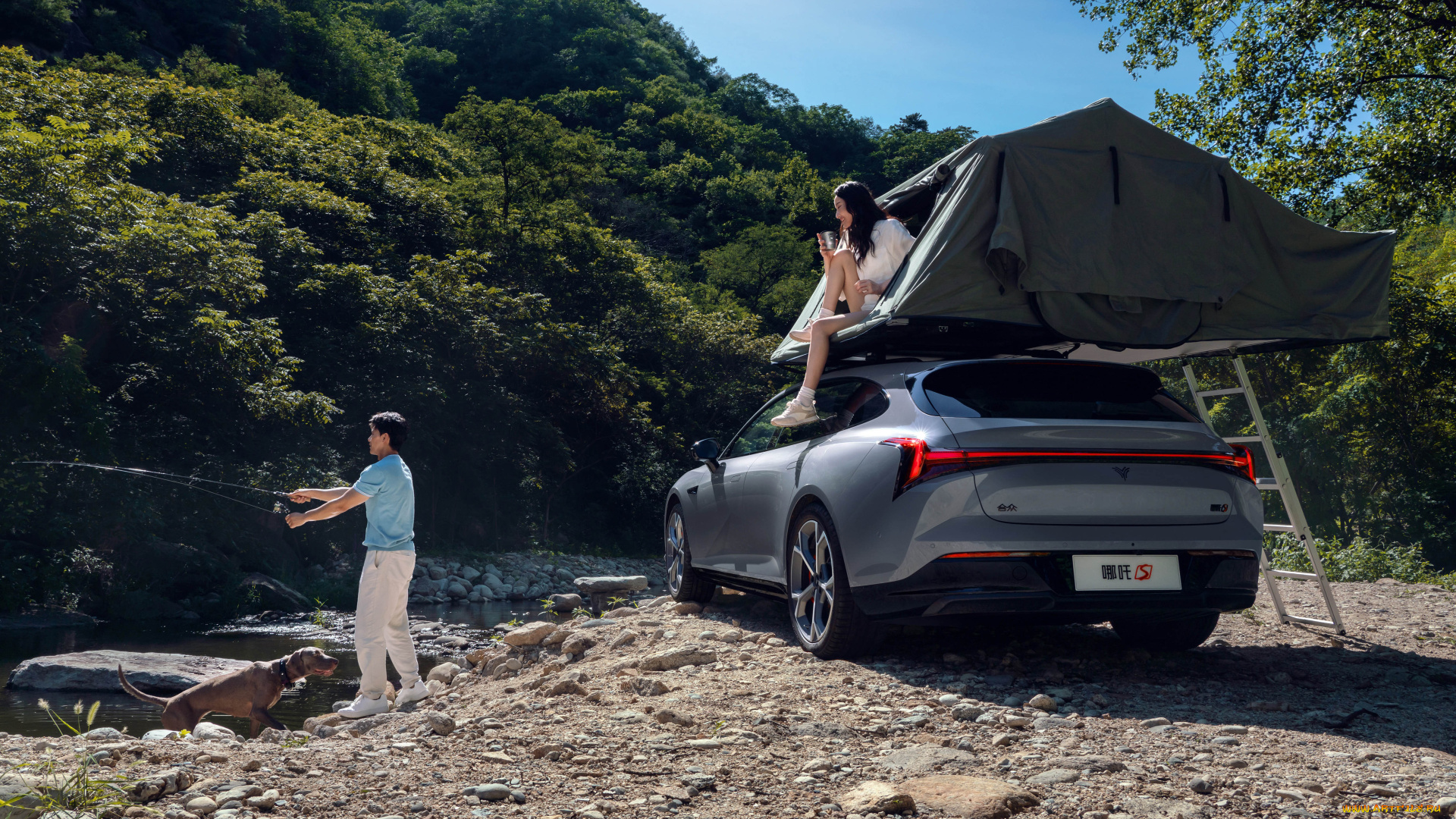 автомобили, hozon