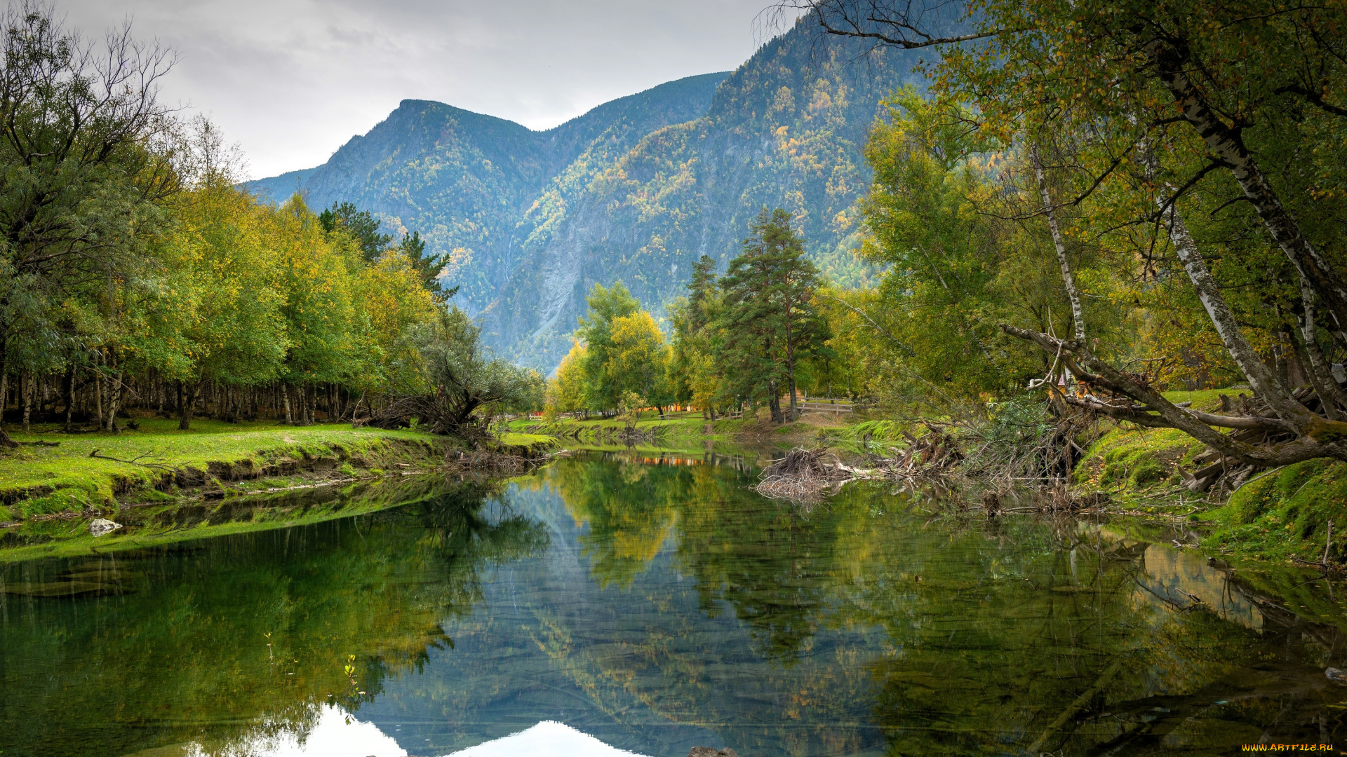 природа, реки, озера, горы, лес, деревья, пруд, камни, коряги