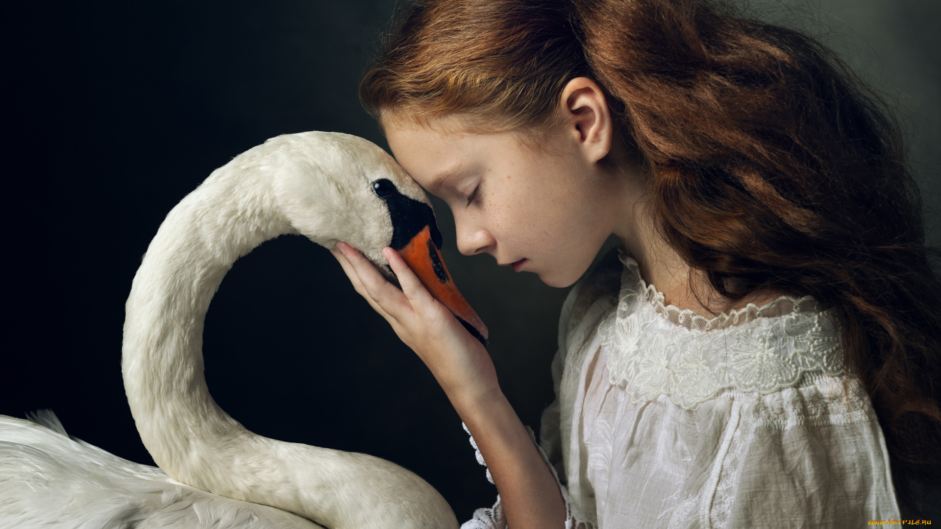 разное, дети, девочка, лебедь