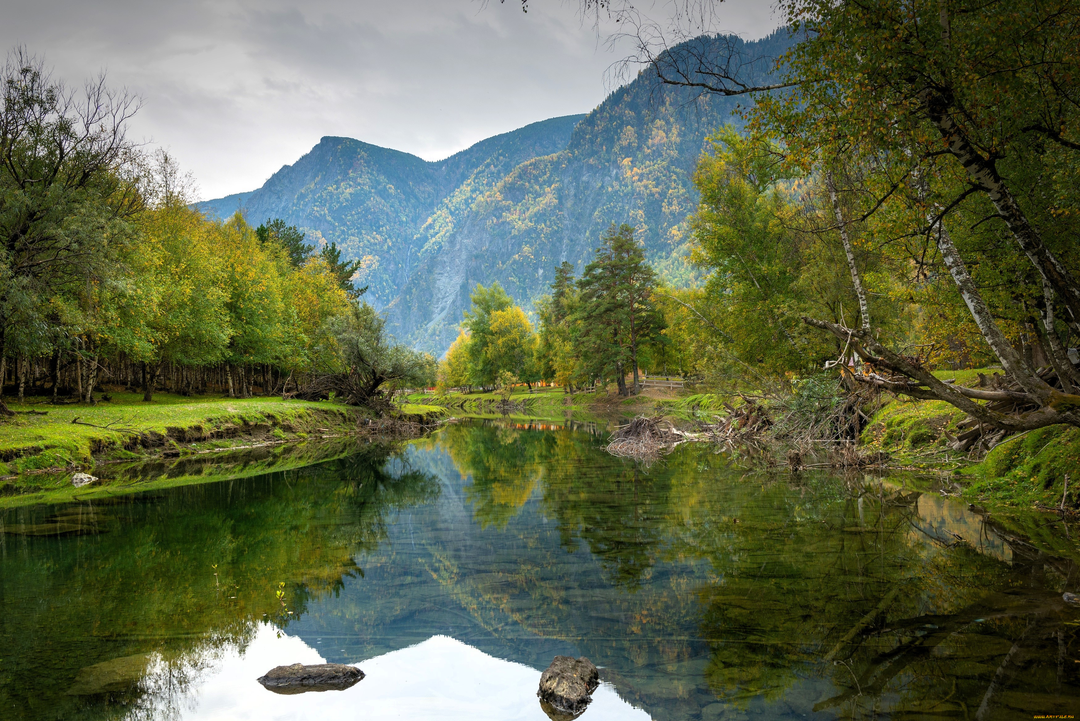 природа, реки, озера, горы, лес, деревья, пруд, камни, коряги