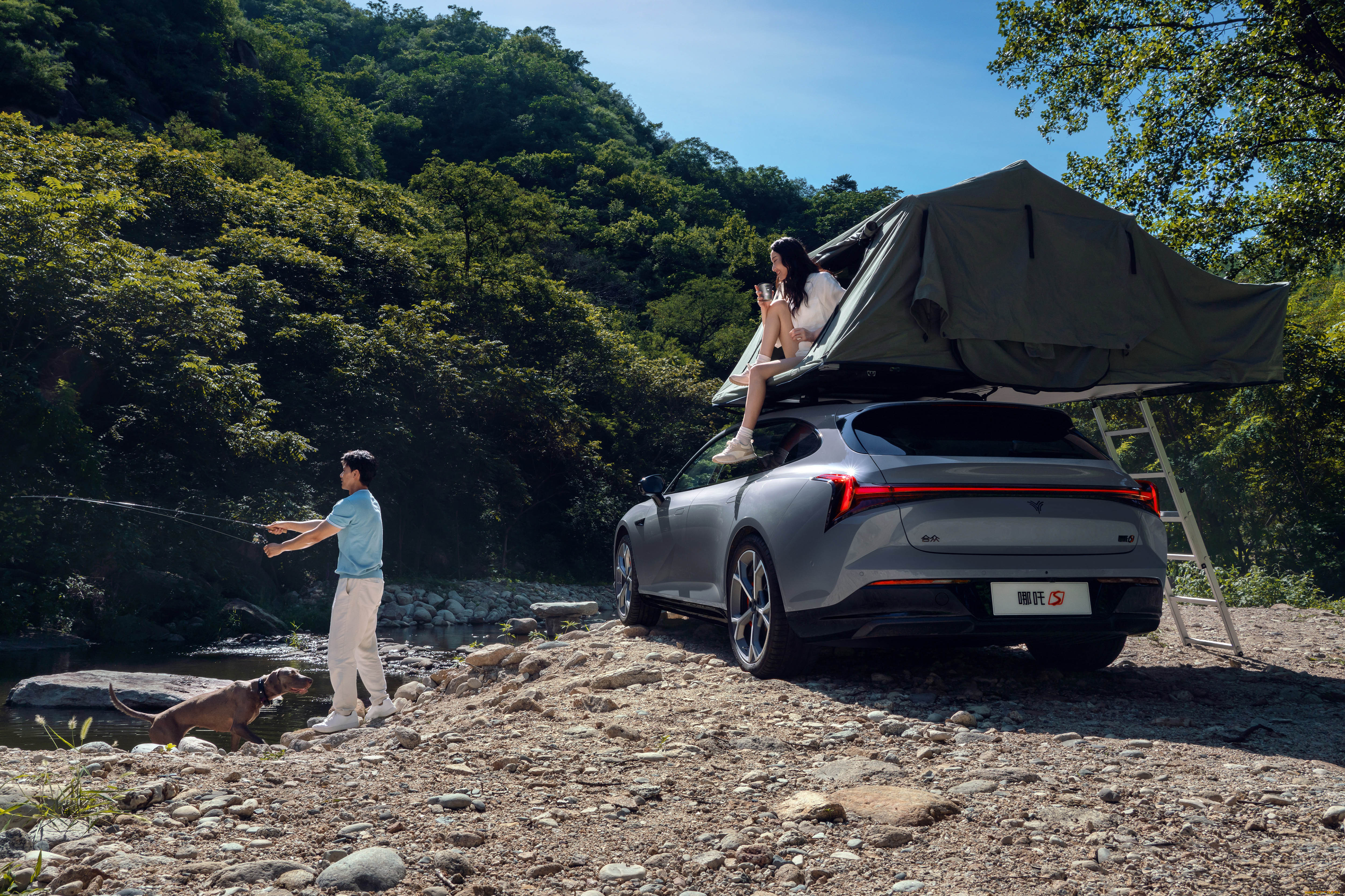 автомобили, hozon