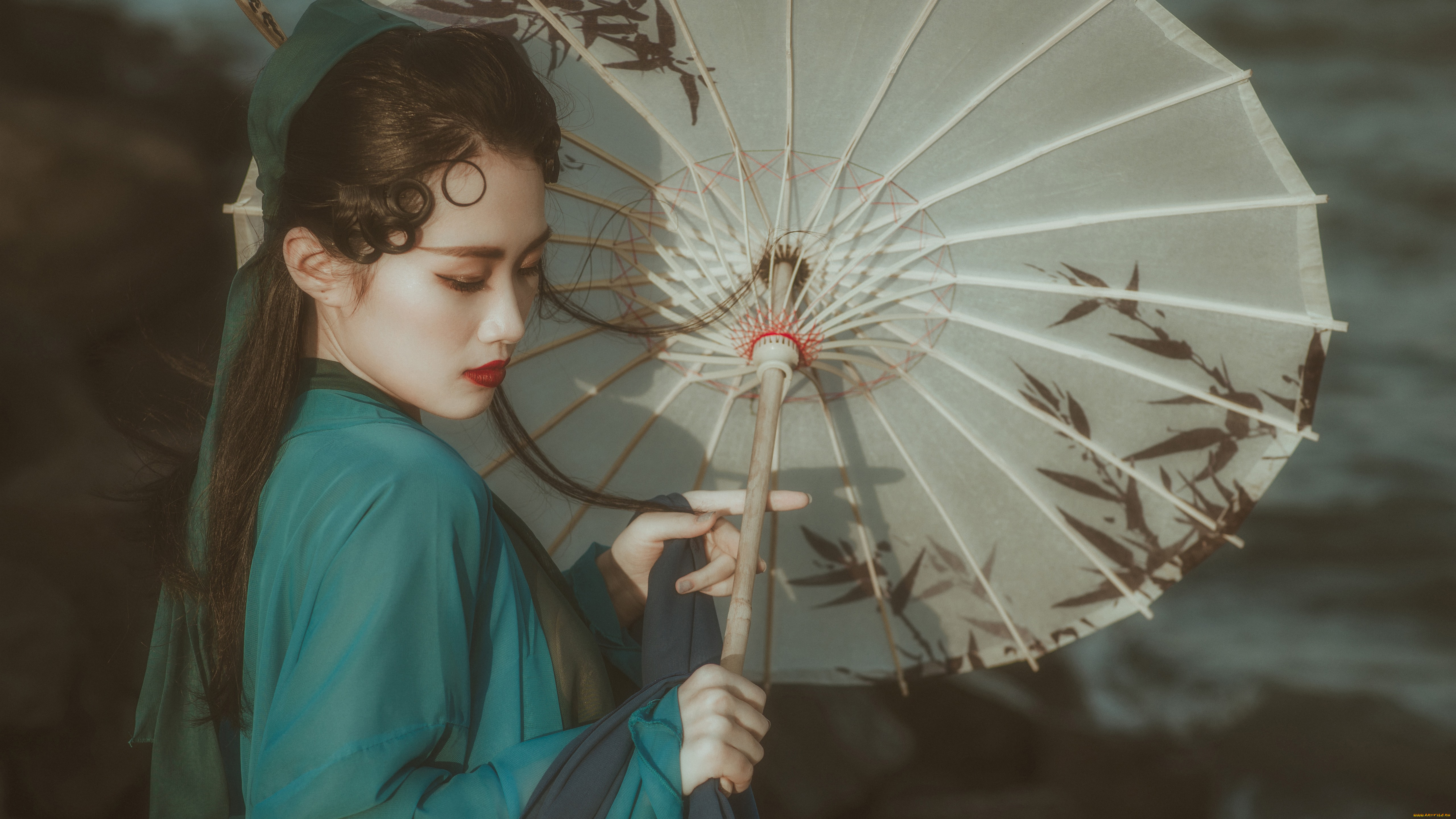 девушки, -, азиатки, девушка