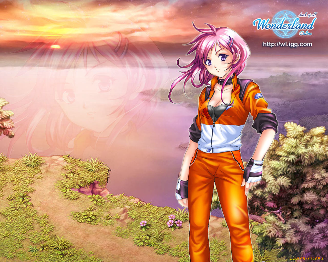 аниме, wonderland