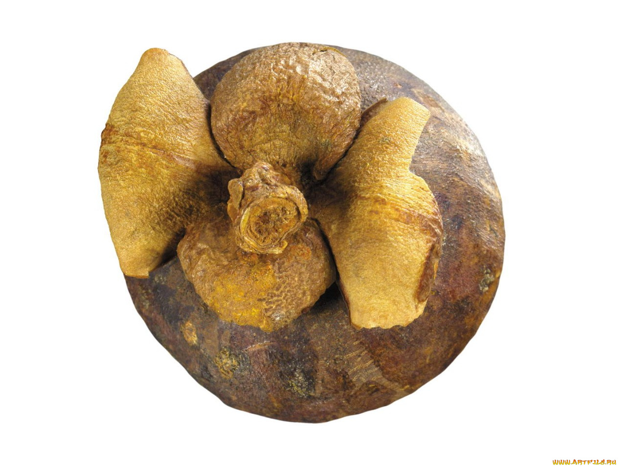 еда, мангостин