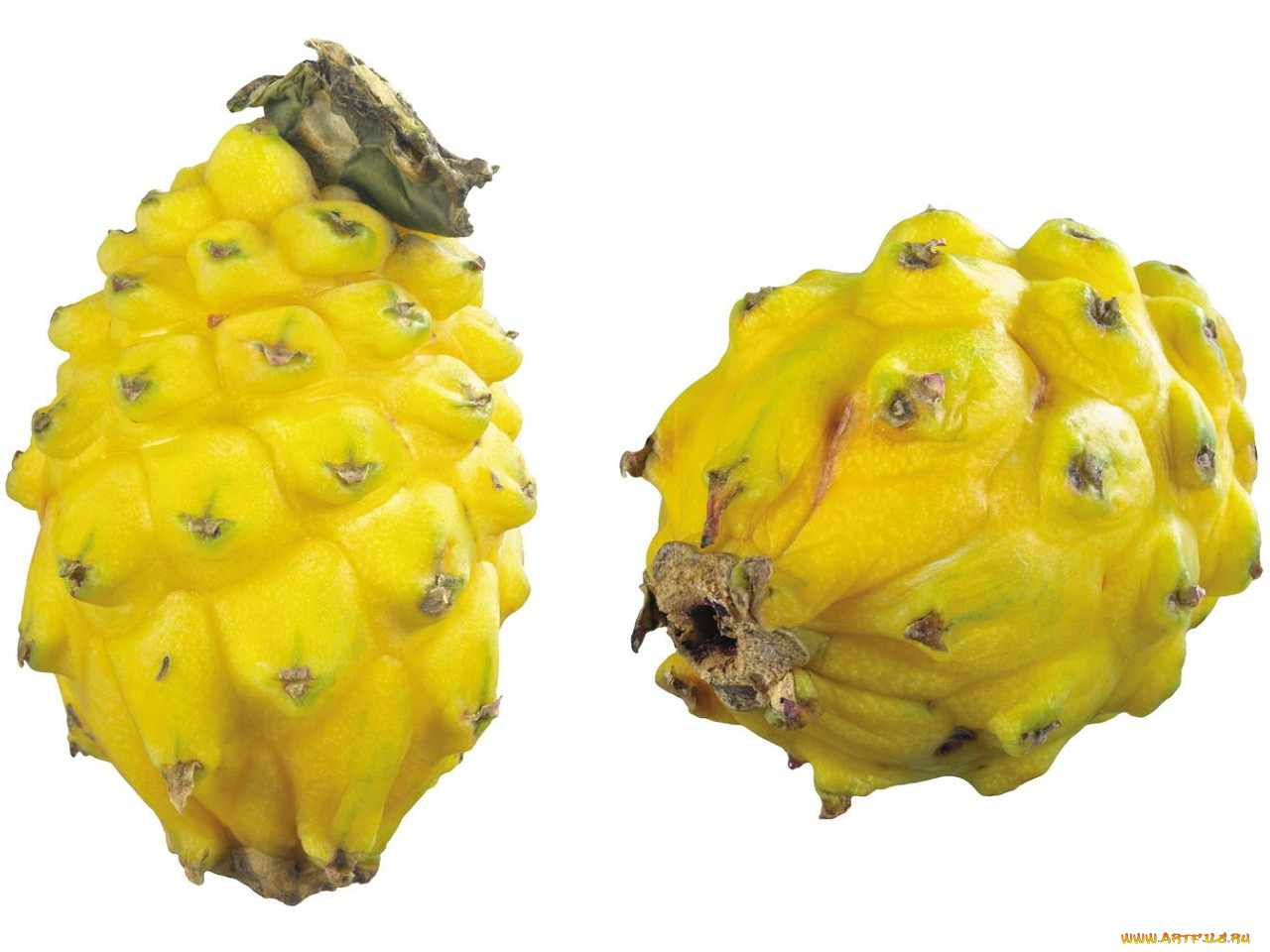 еда, питахайя