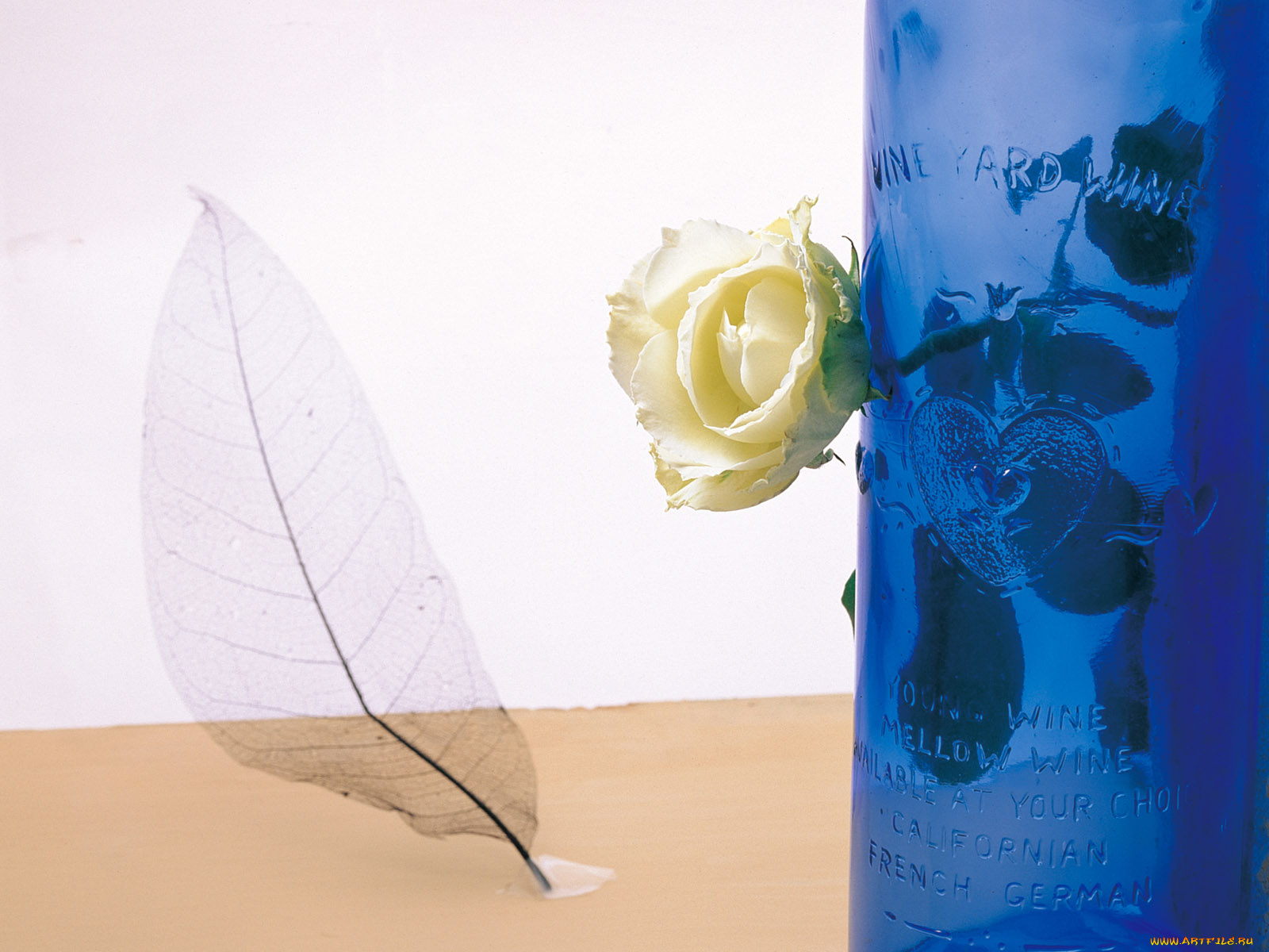 цветы, розы