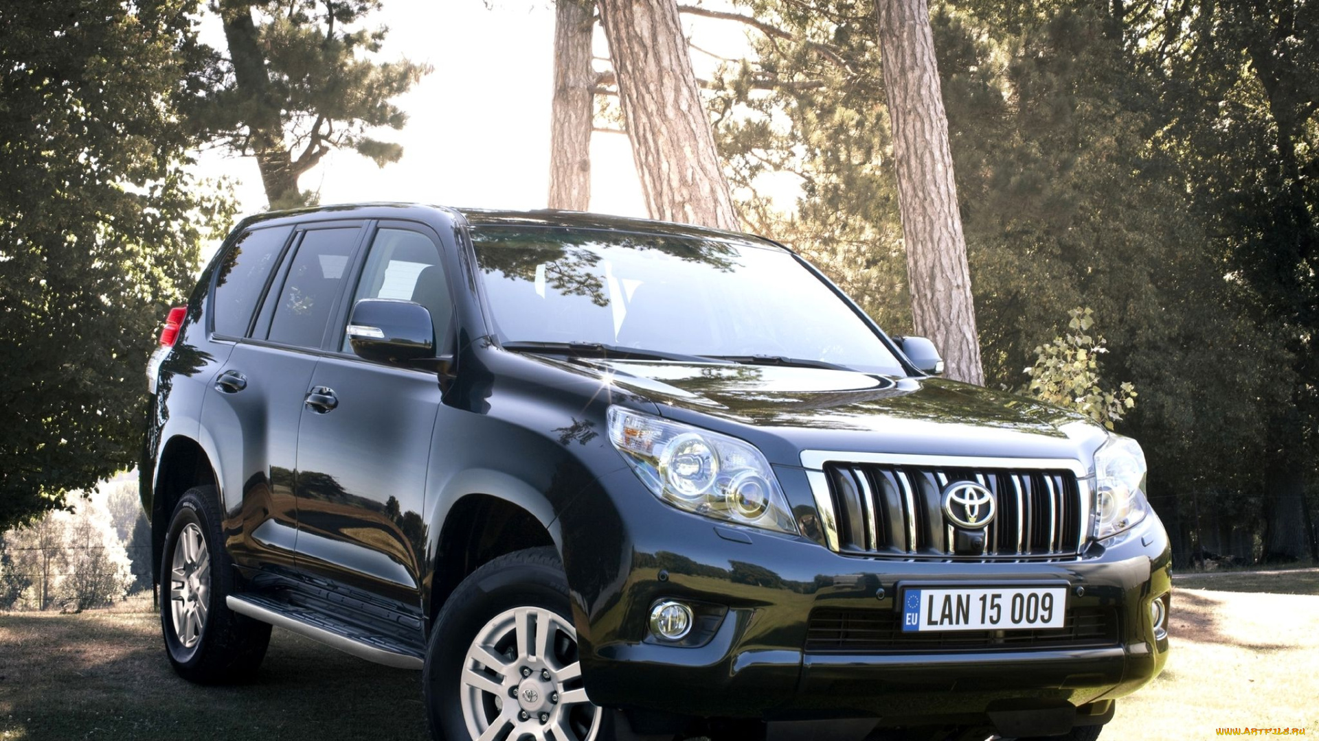 автомобили, toyota