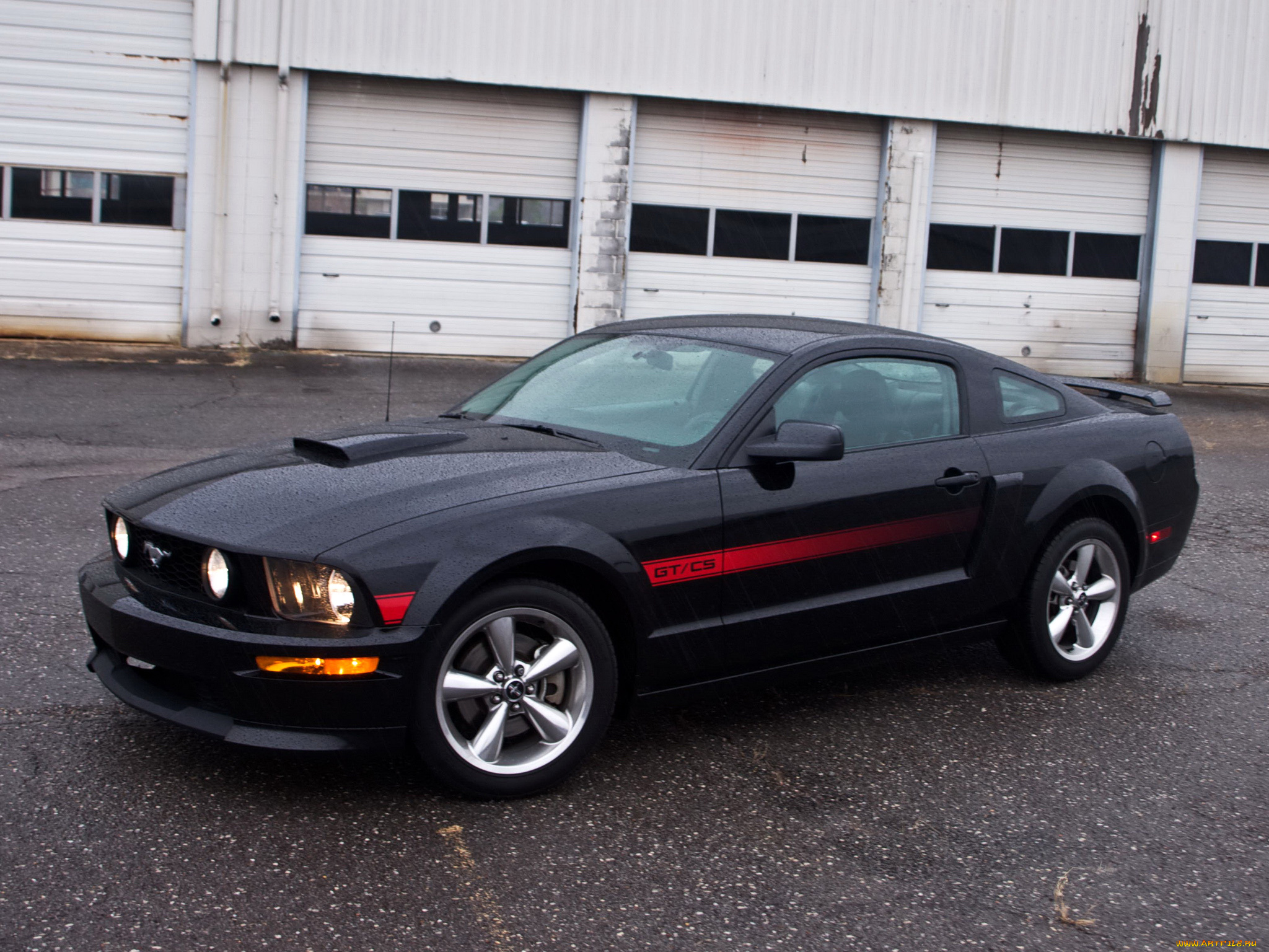 автомобили, mustang