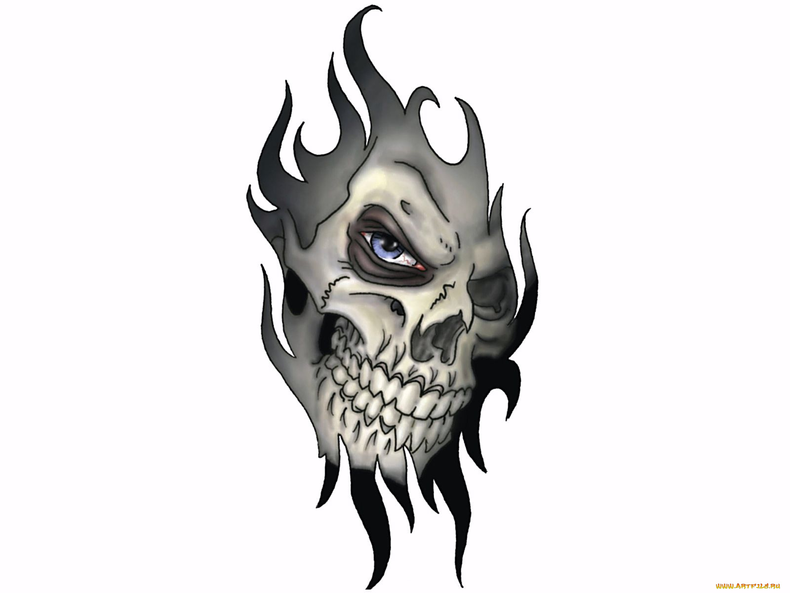 череп, фэнтези, нежить, рисунок, глаз