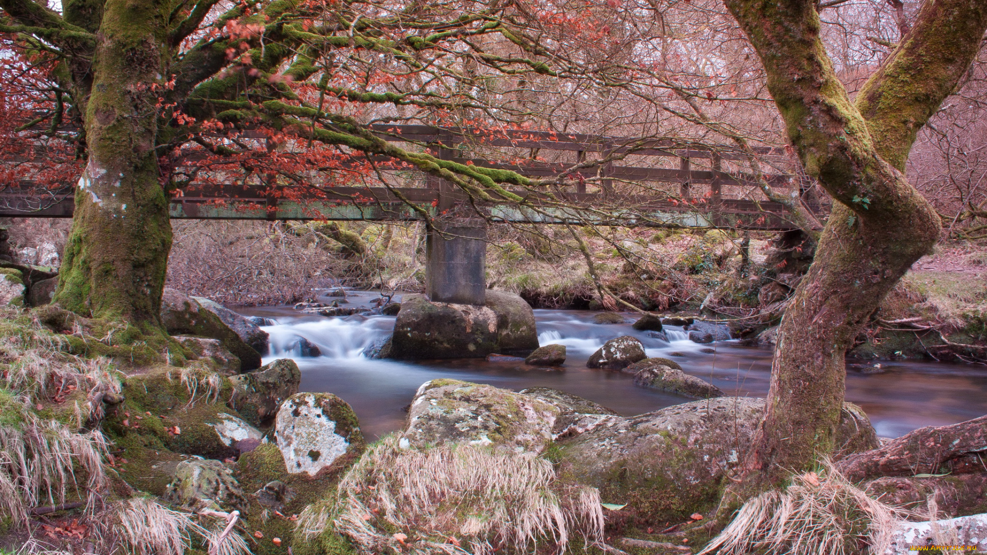 belstone, англия, природа, реки, озера, берег, мост, река