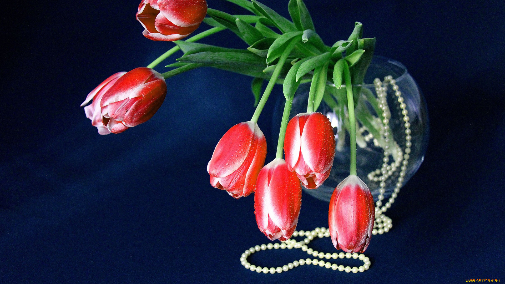 цветы, тюльпаны, бусы, ваза, бутоны