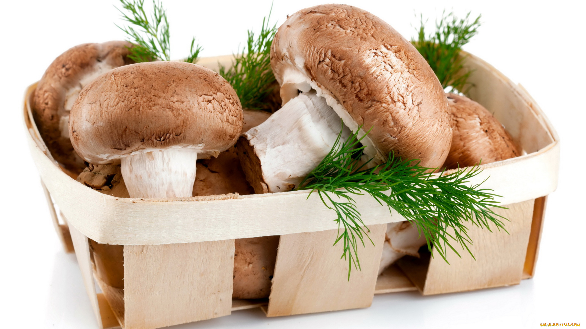 еда, грибы, грибные, блюда