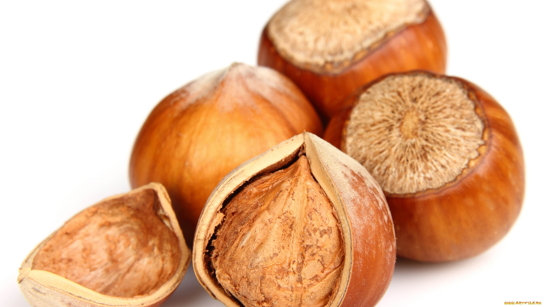 еда, орехи, каштаны, фундук