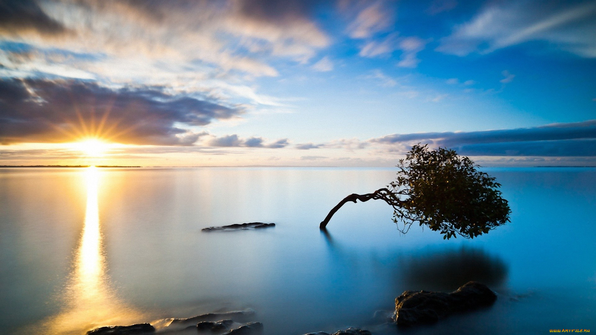 природа, восходы, закаты, дерево, солнце, горизонт, озеро