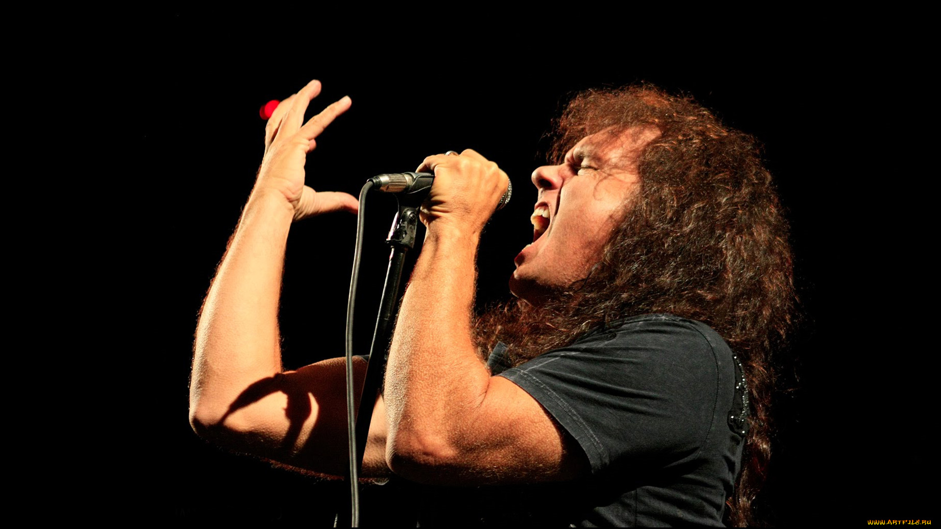 rob, rock, музыка, другое, white, metal, хэви-метал, пауэр-метал, композитор, певец