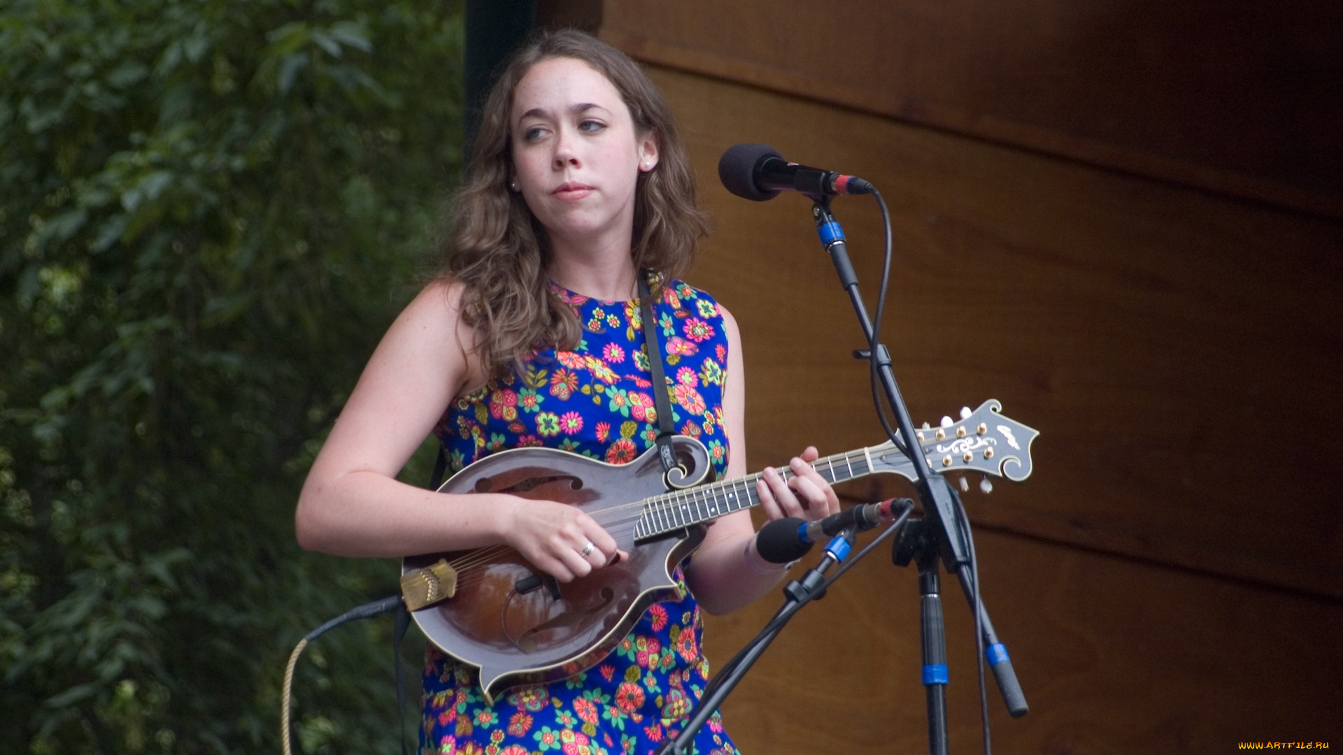 sarah, jarosz, музыка, сша, кантри, автор, песен, музыкант, певица