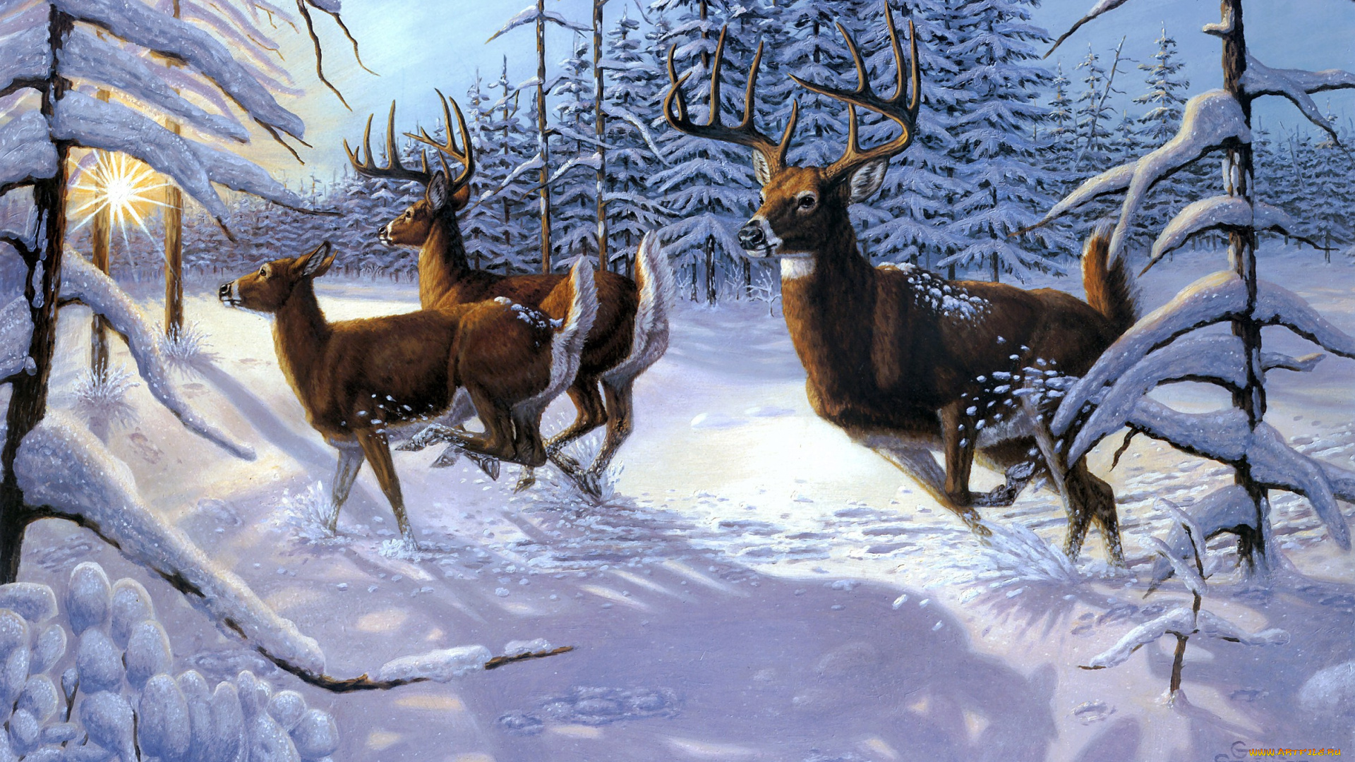 winter, glory, рисованные, gene, stewart, зима, солнце, олени