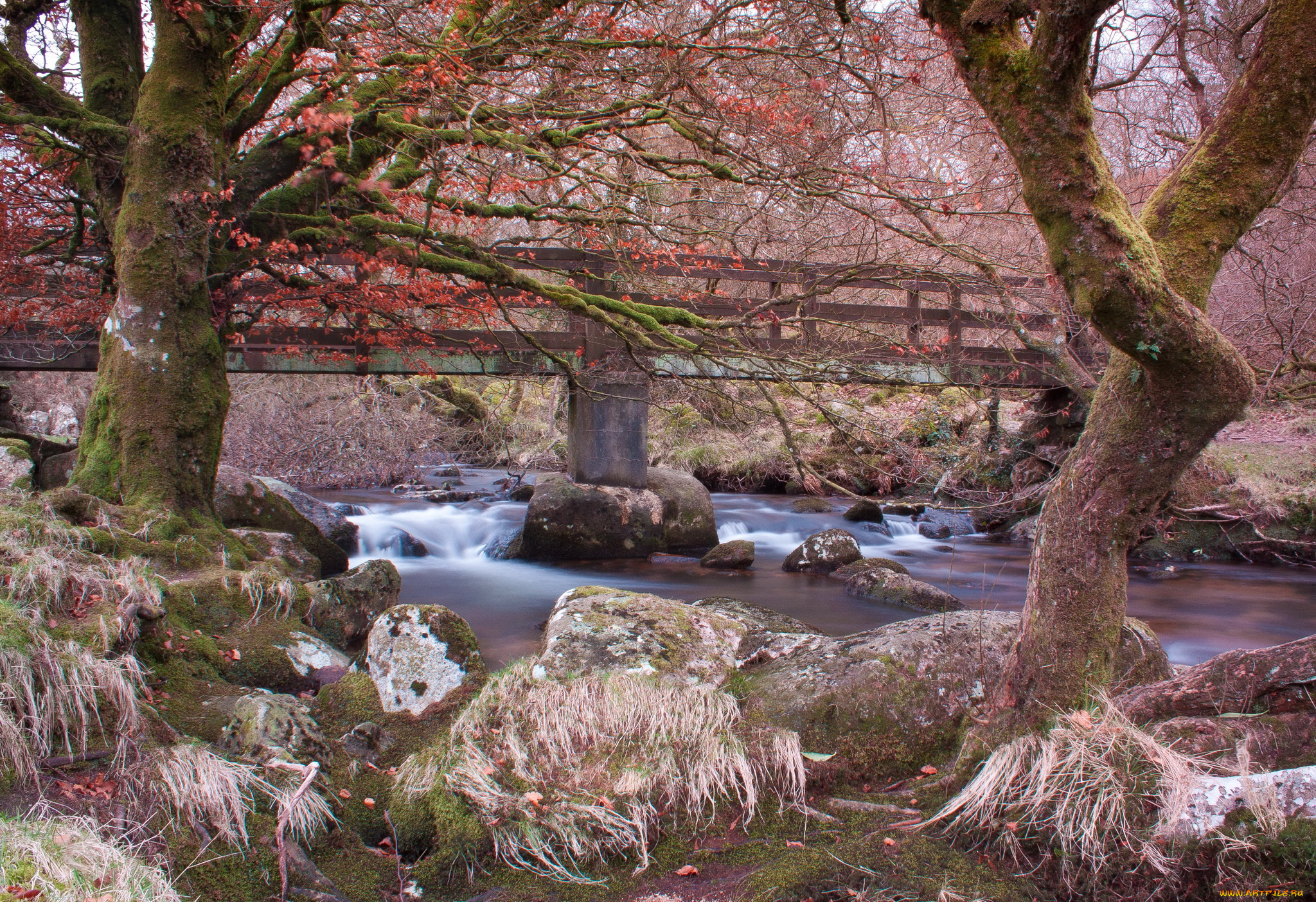 belstone, англия, природа, реки, озера, берег, мост, река