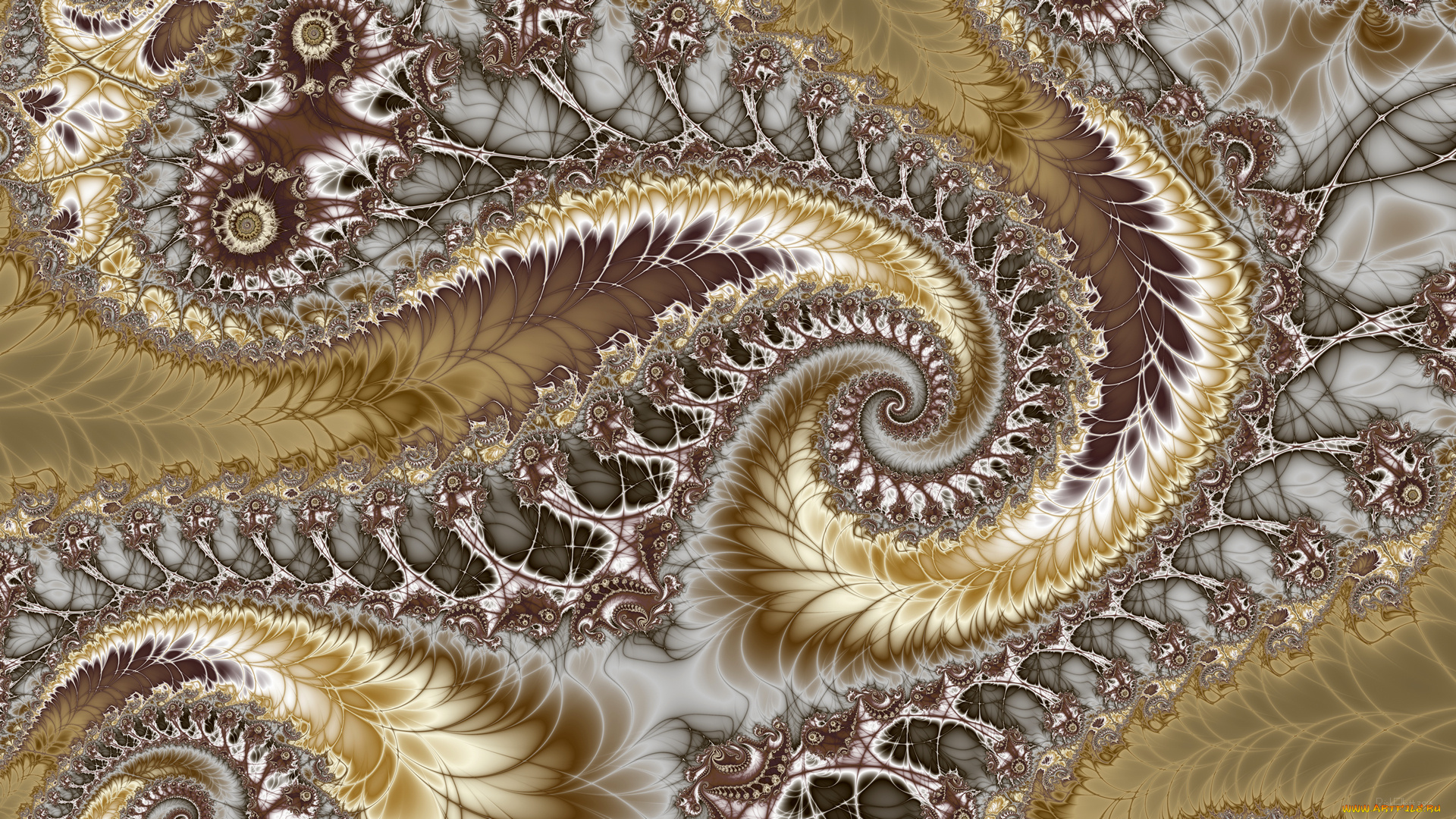 3д, графика, fractal, , фракталы, узор, фон, цвета