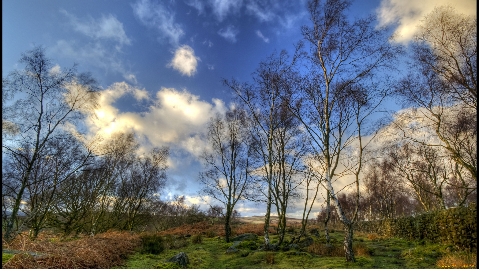 природа, деревья, облака, трава