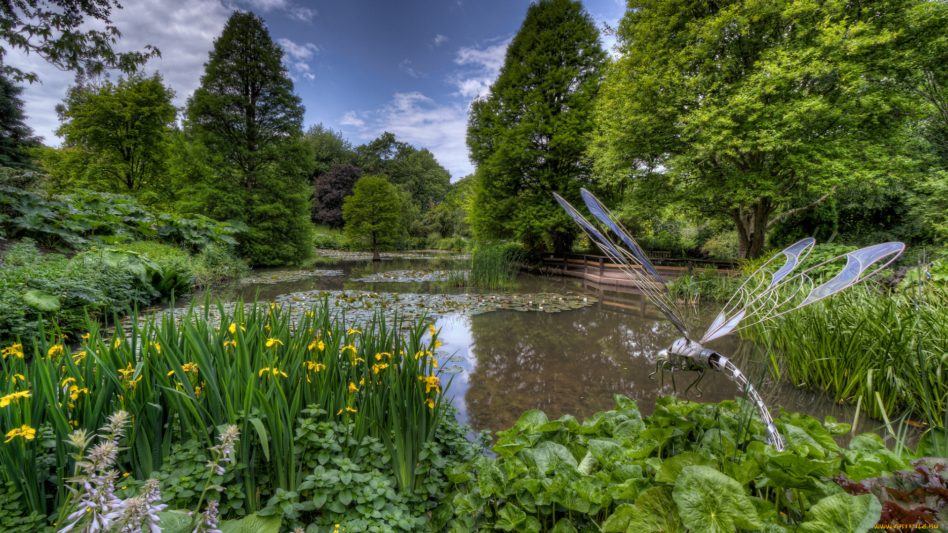 природа, парк, деревья, пруд, цветы, фигура, стрекоза, трава