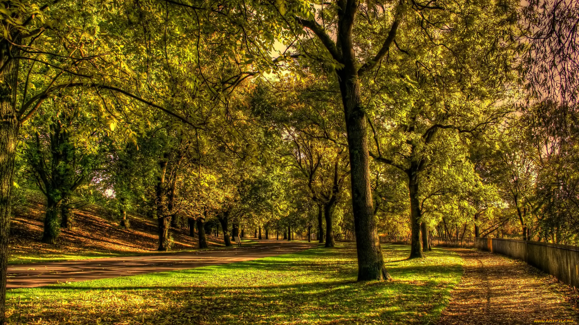 природа, парк, осень, дорожки, забор, деревья