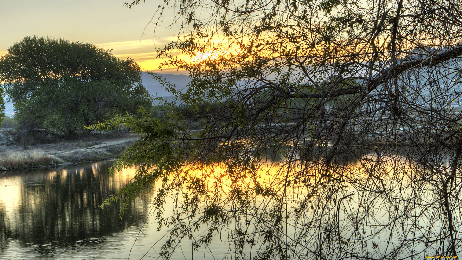 природа, реки, озера, ветки, дерево, река, заря
