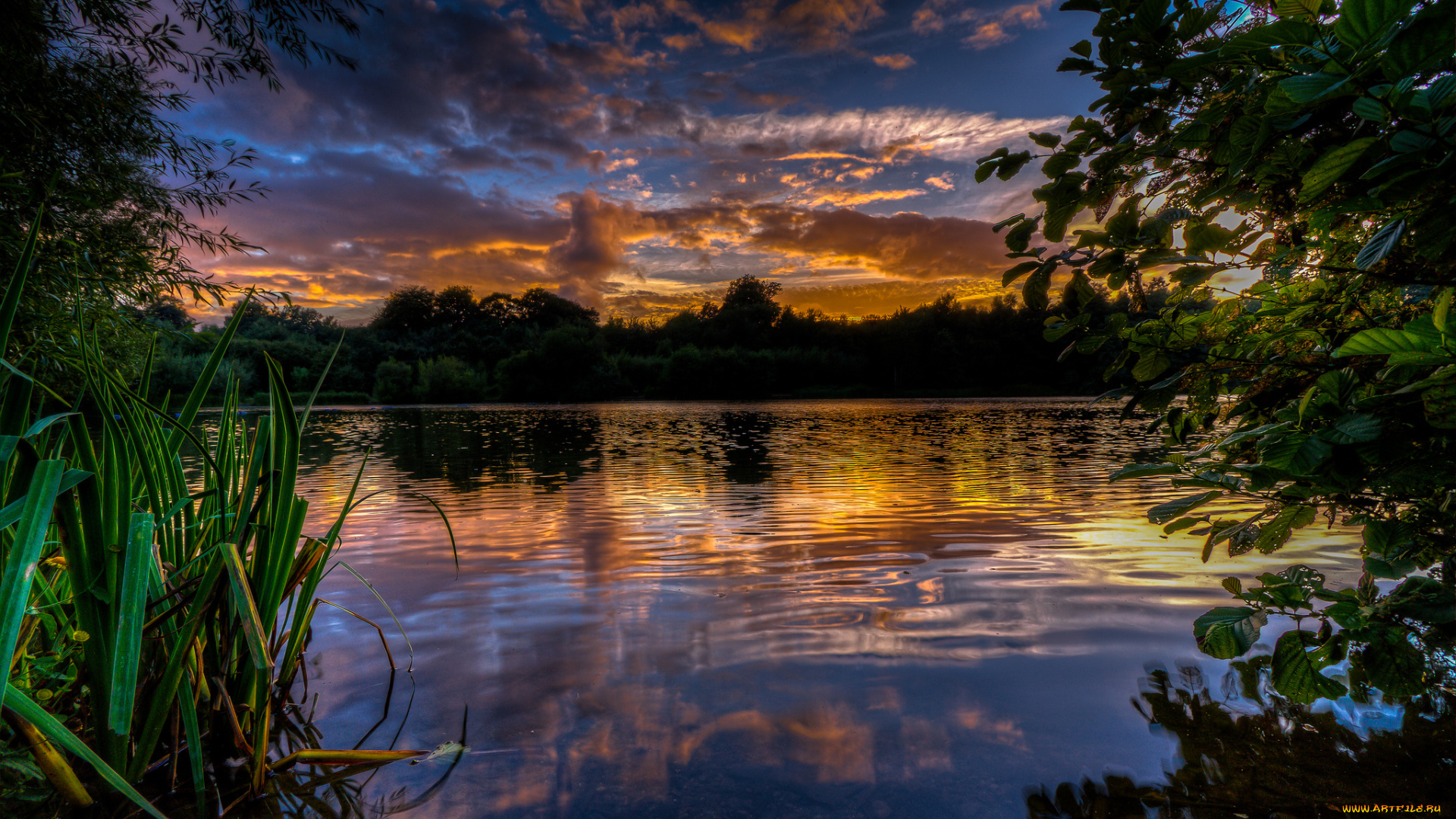 природа, реки, озера, зарево, осока, озеро, вече