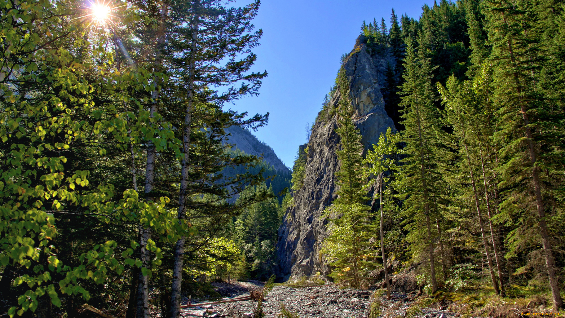 природа, восходы, закаты, солнце, лес, горы