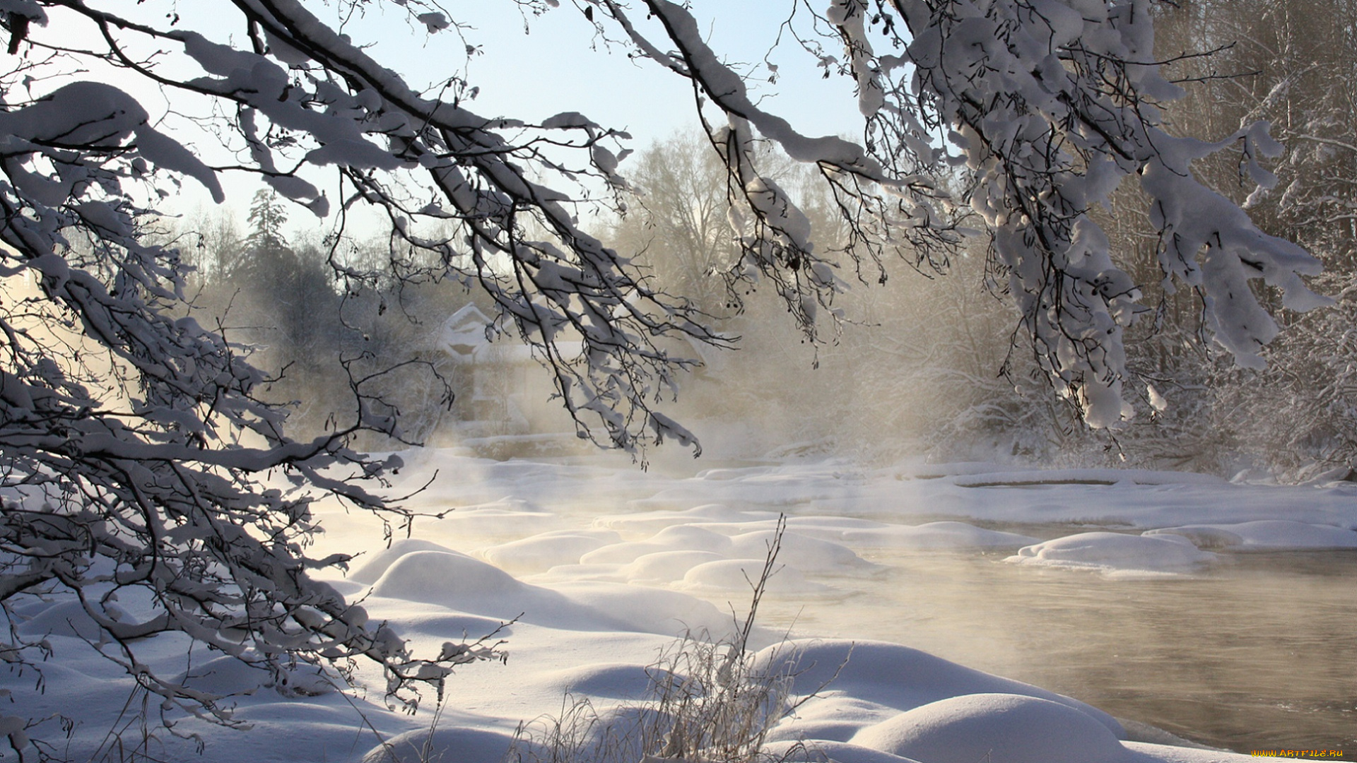 природа, зима, ветви, снег, вода, пар