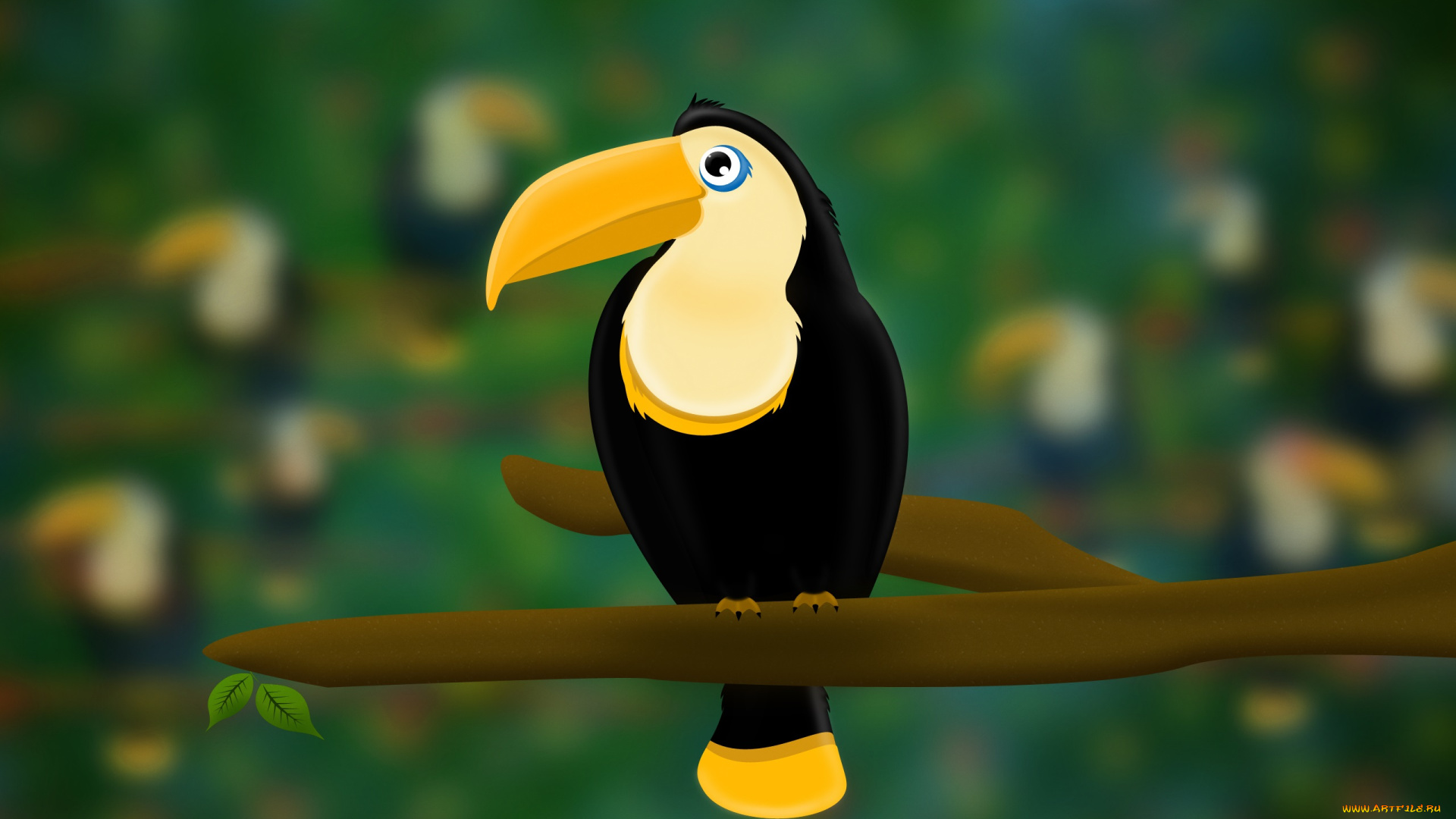 рисованные, животные, , птицы, ветка, какаду