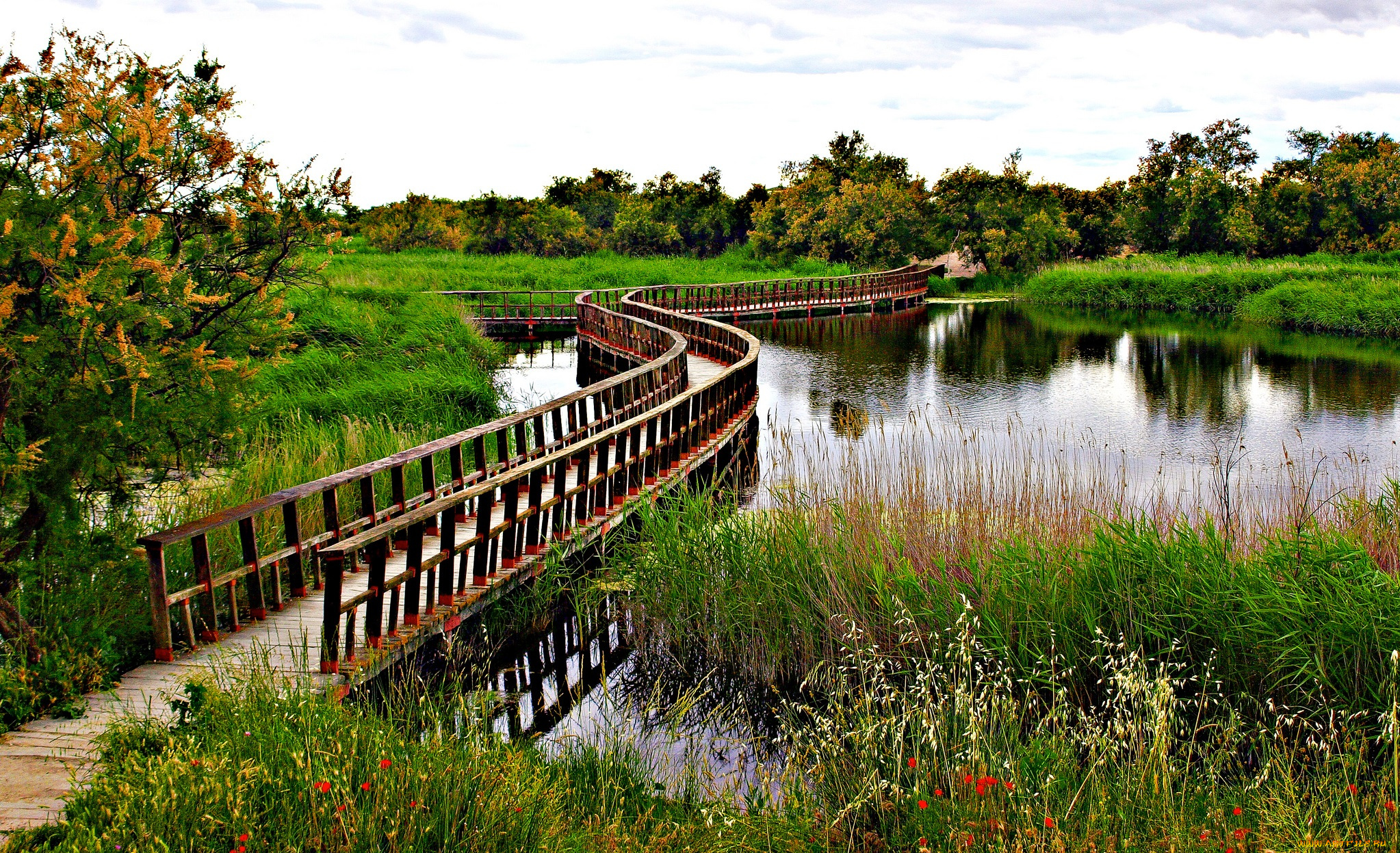 природа, реки, озера, трава, мостик, река, деревья