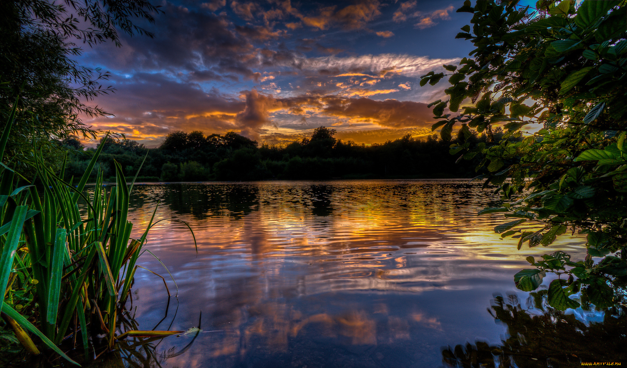 природа, реки, озера, зарево, осока, озеро, вече