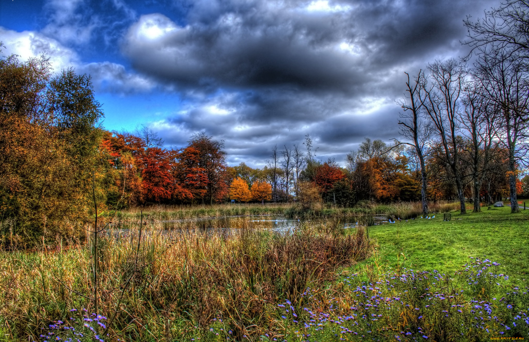 природа, реки, озера, лес, цветы, осель, трава, озеро, тучи