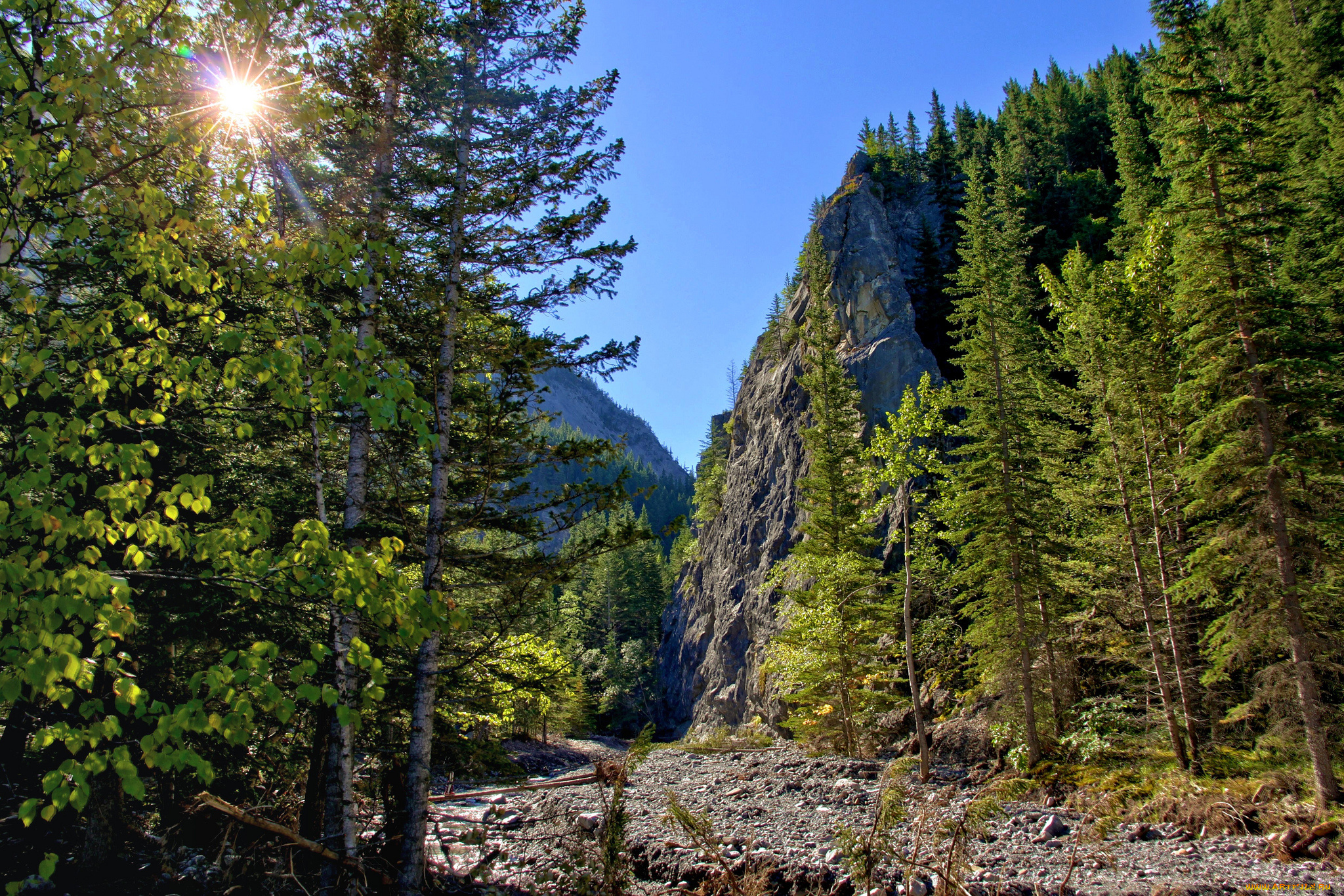 природа, восходы, закаты, солнце, лес, горы